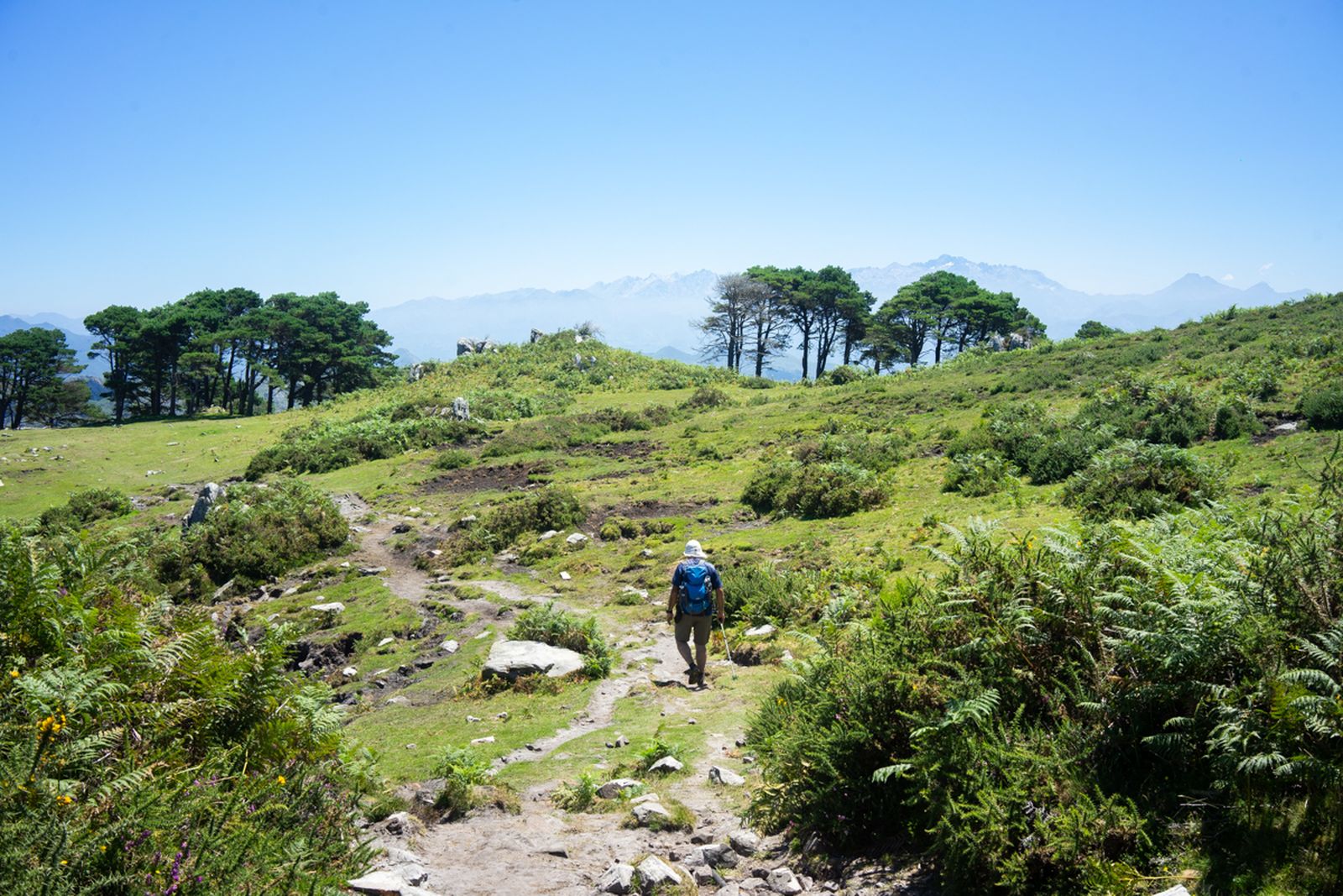 Galería móvil selección múltiple