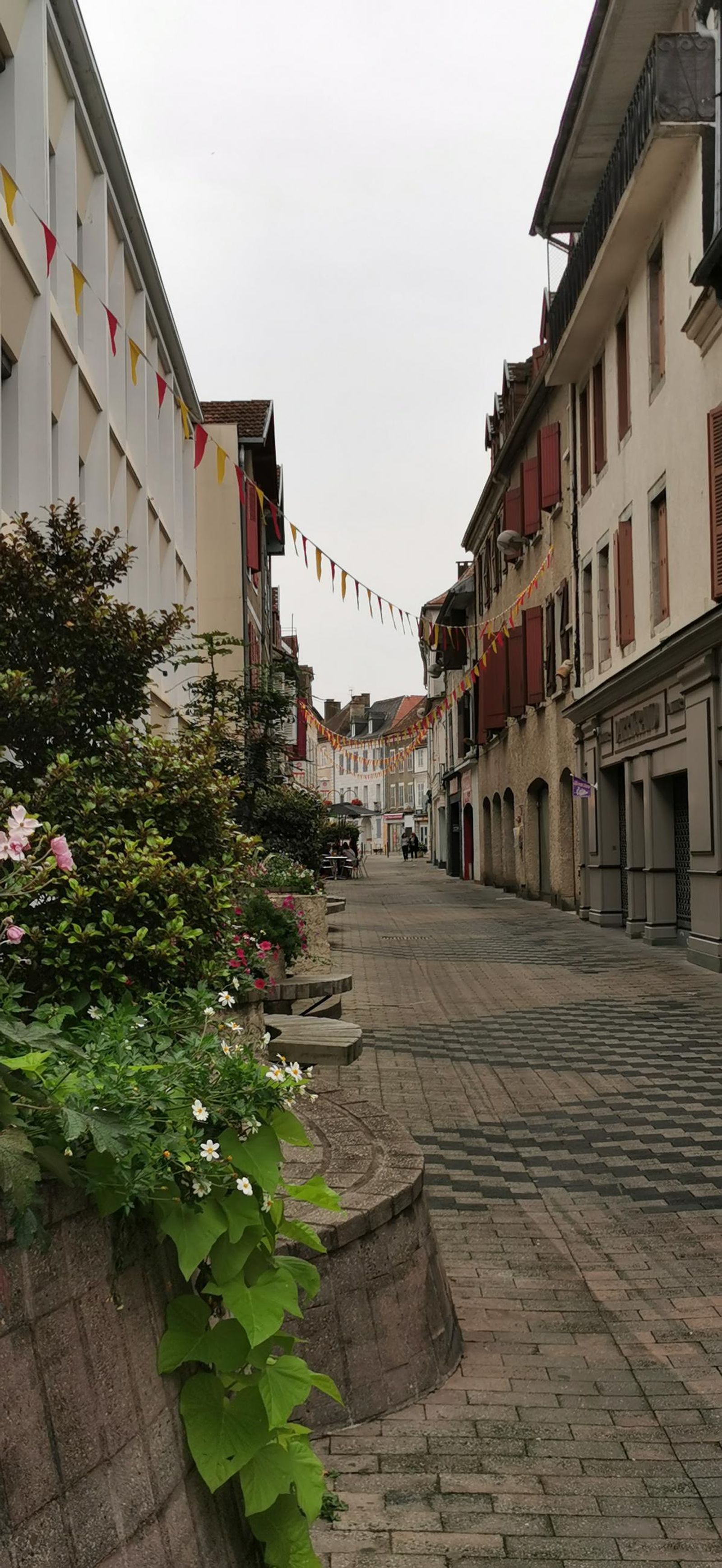 Galería test móvil