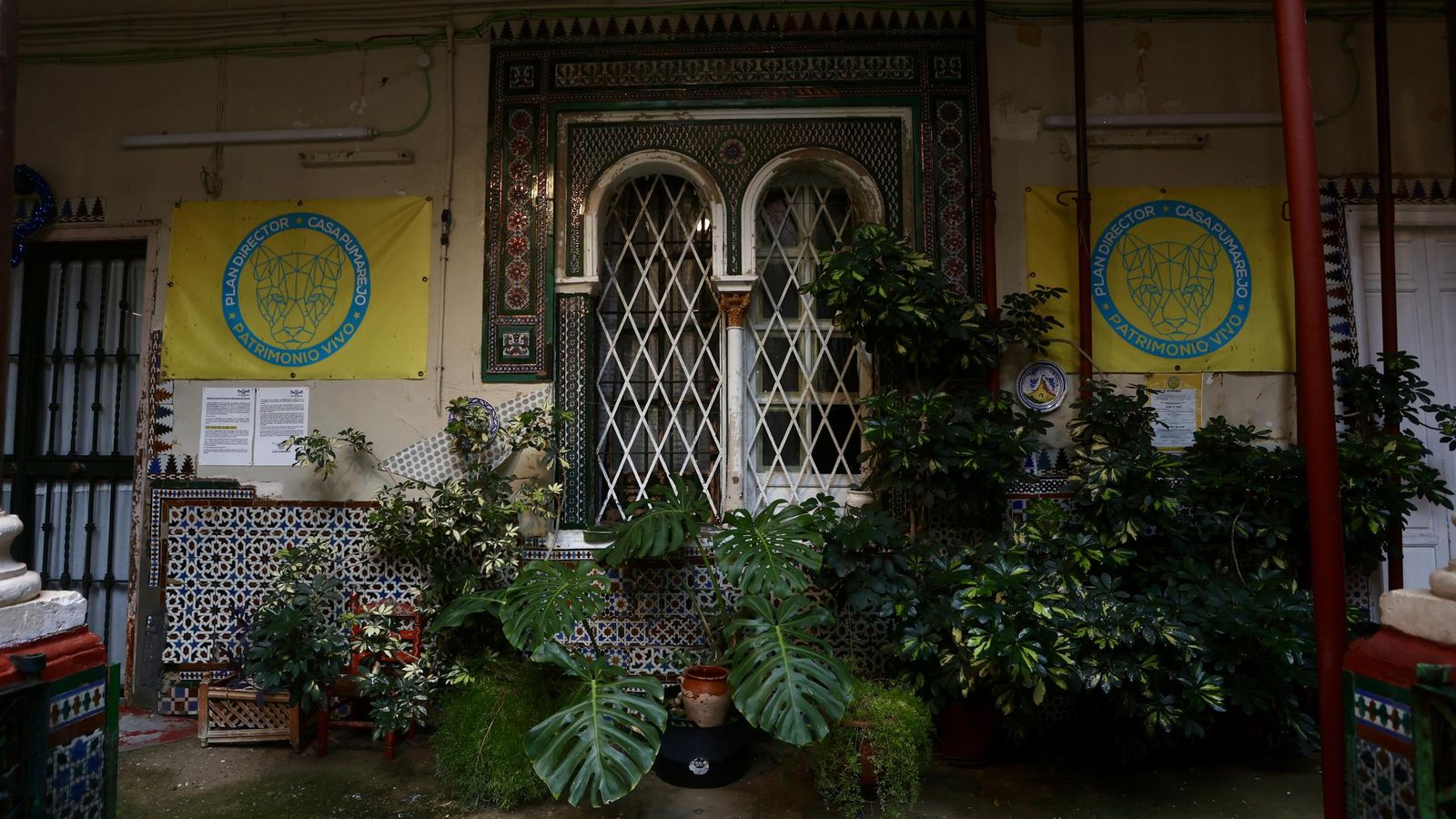 Test galería Joly bug