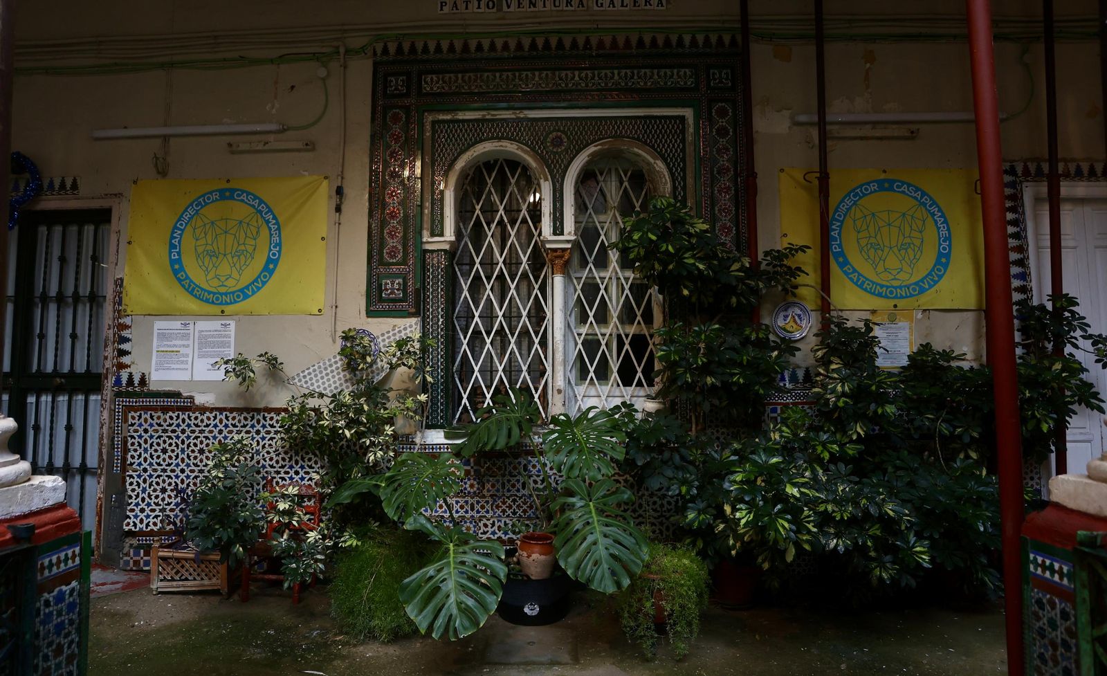 Test galería Joly bug