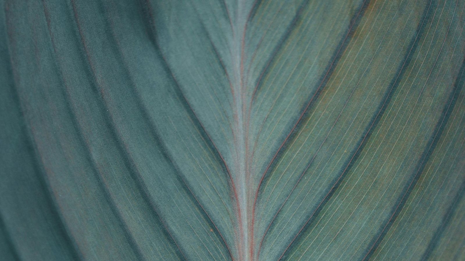 aaron-burden-puQ8iqUvs9o-unsplash