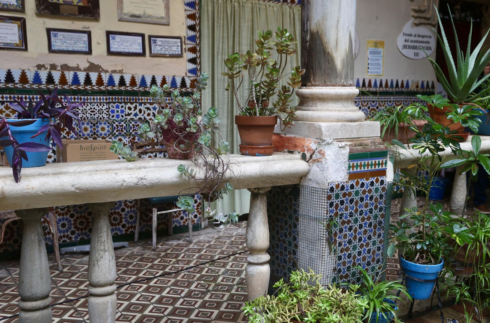 Test galería Joly bug