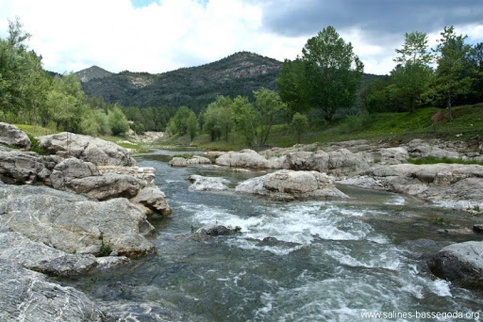 ruta río bosque naturaleza