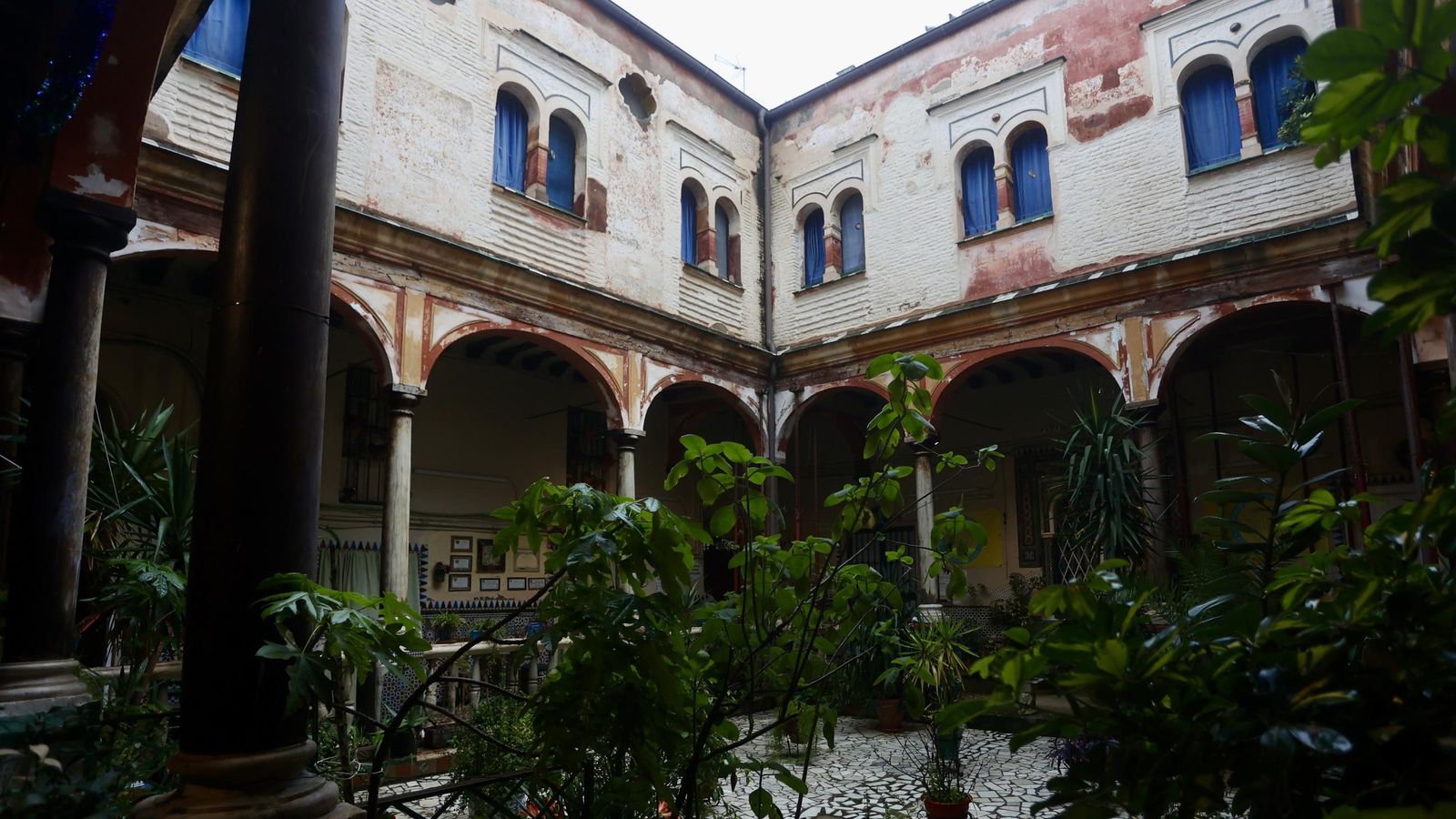 Test galería Joly bug