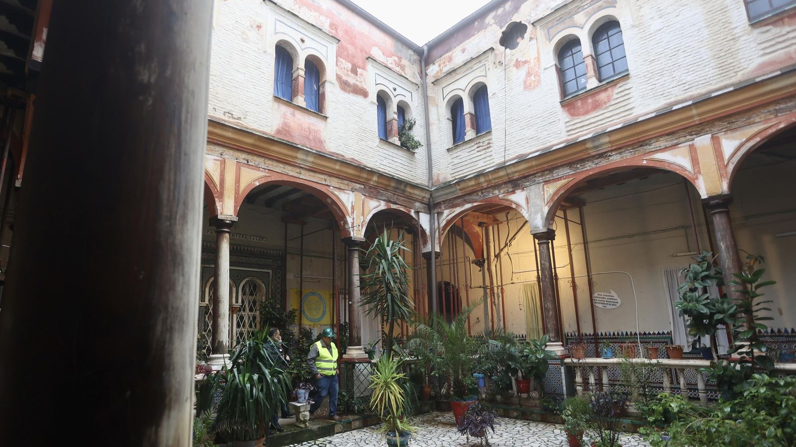 Galería safari simulador móvil 30 img