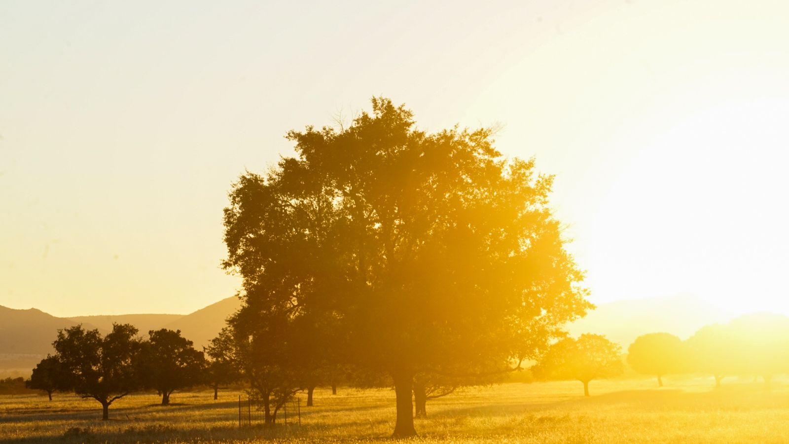 El Parque Nacional de Cabañeros en Castilla La Mancha