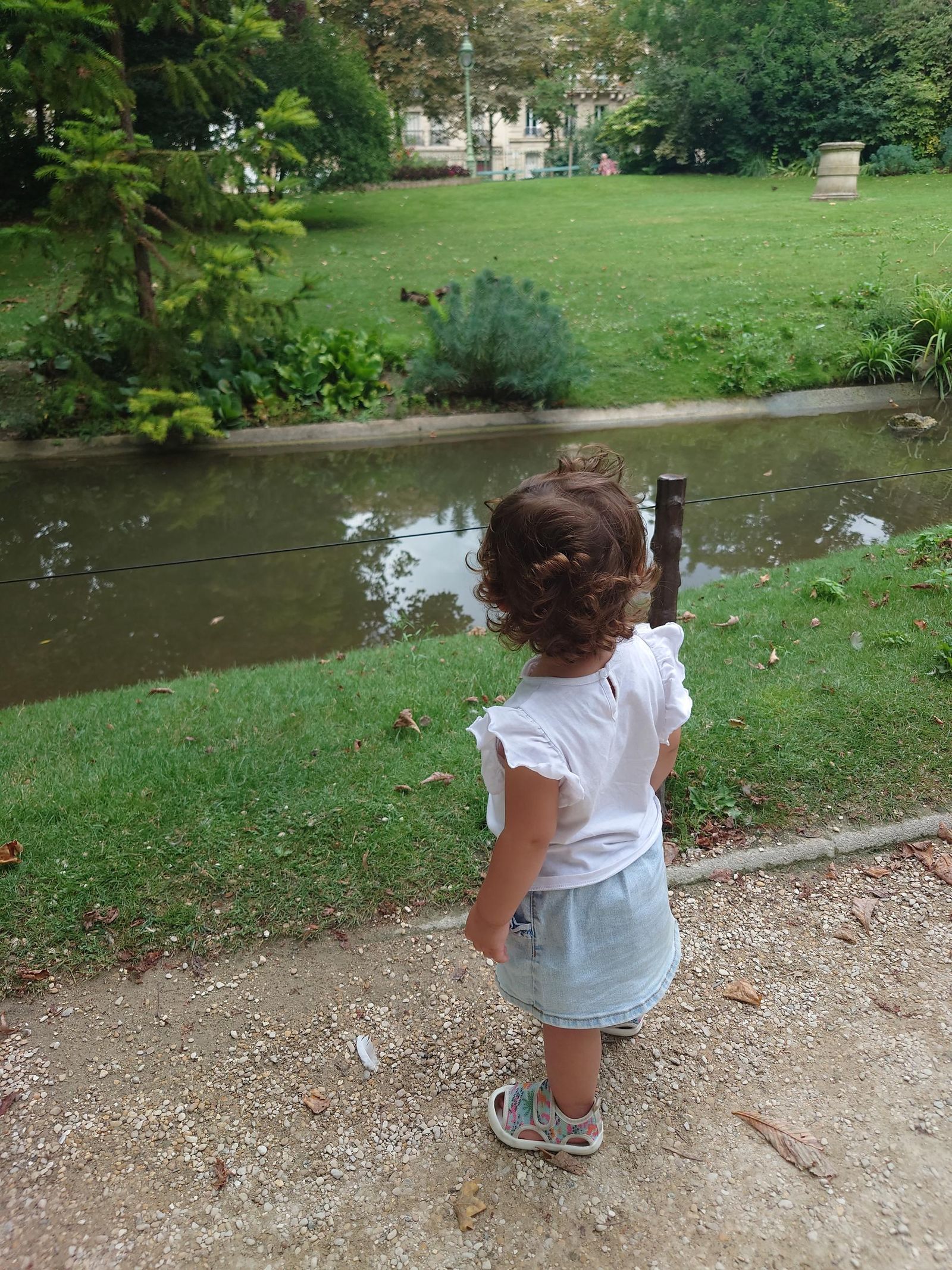 Test subida múltiple imagenes ok