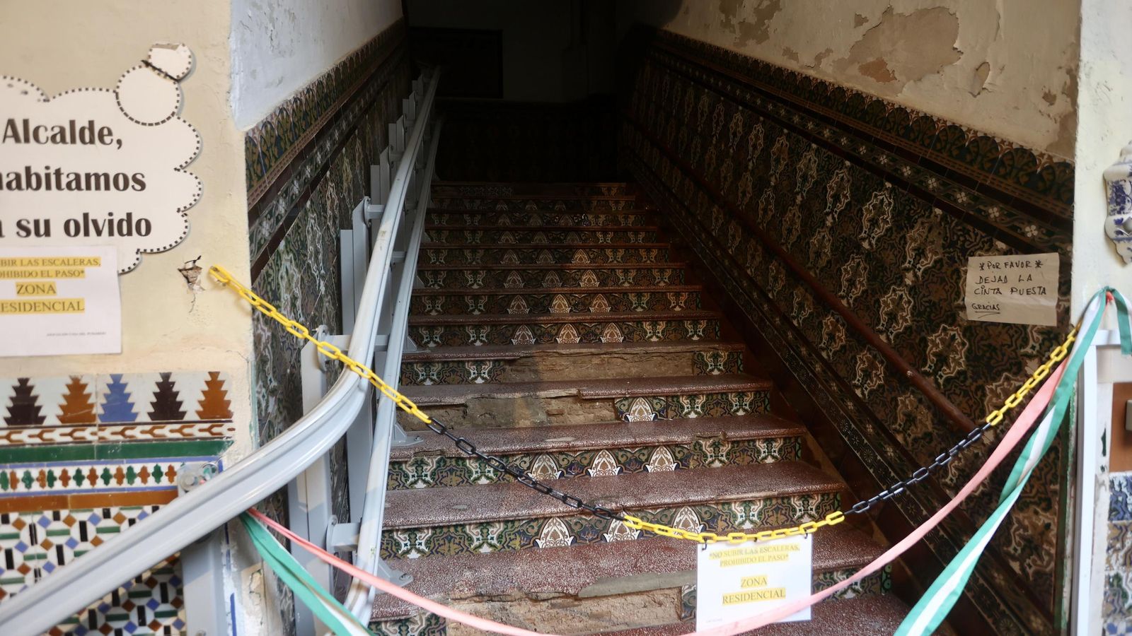 Galería safari simulador móvil 30 img