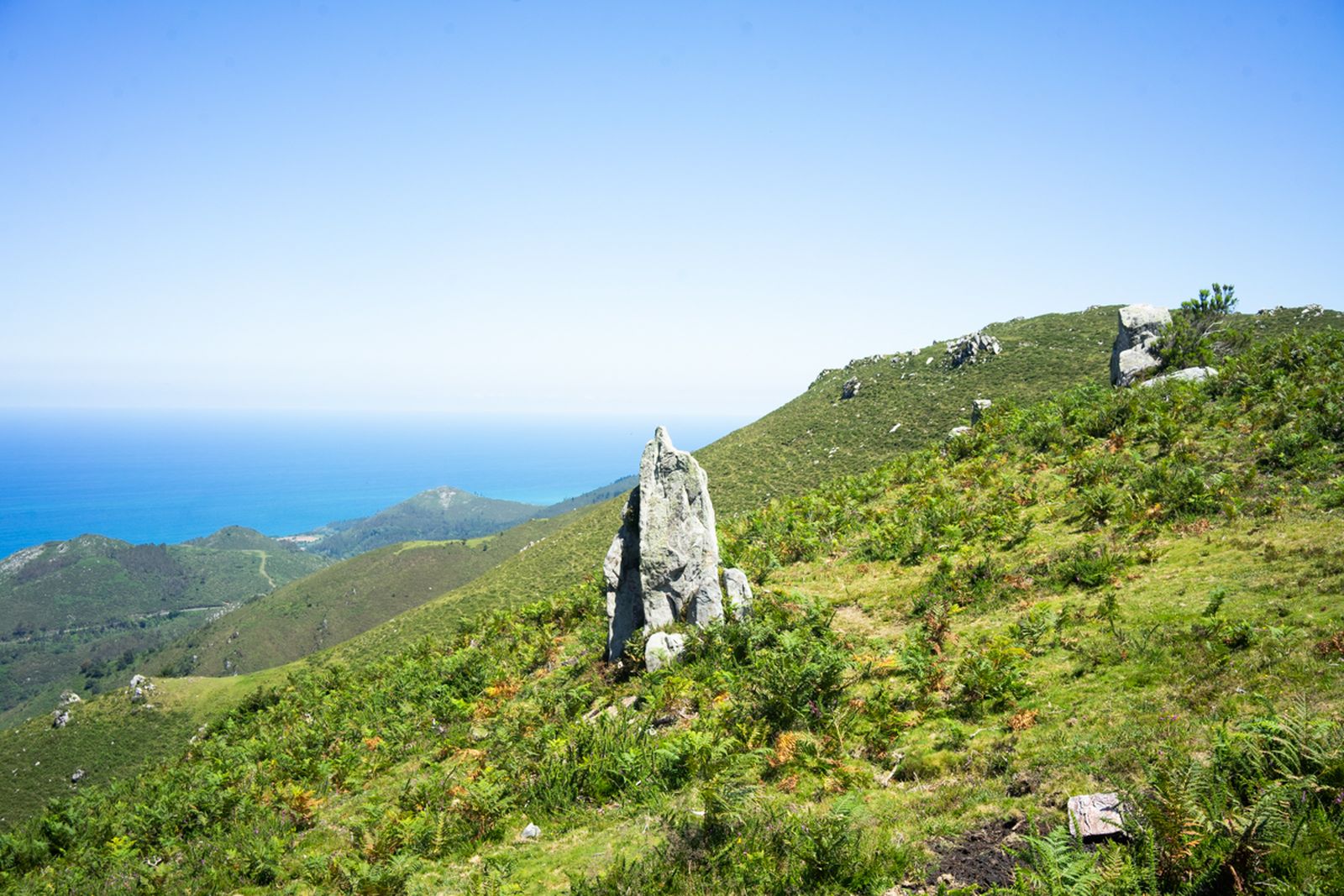 Galería móvil selección múltiple