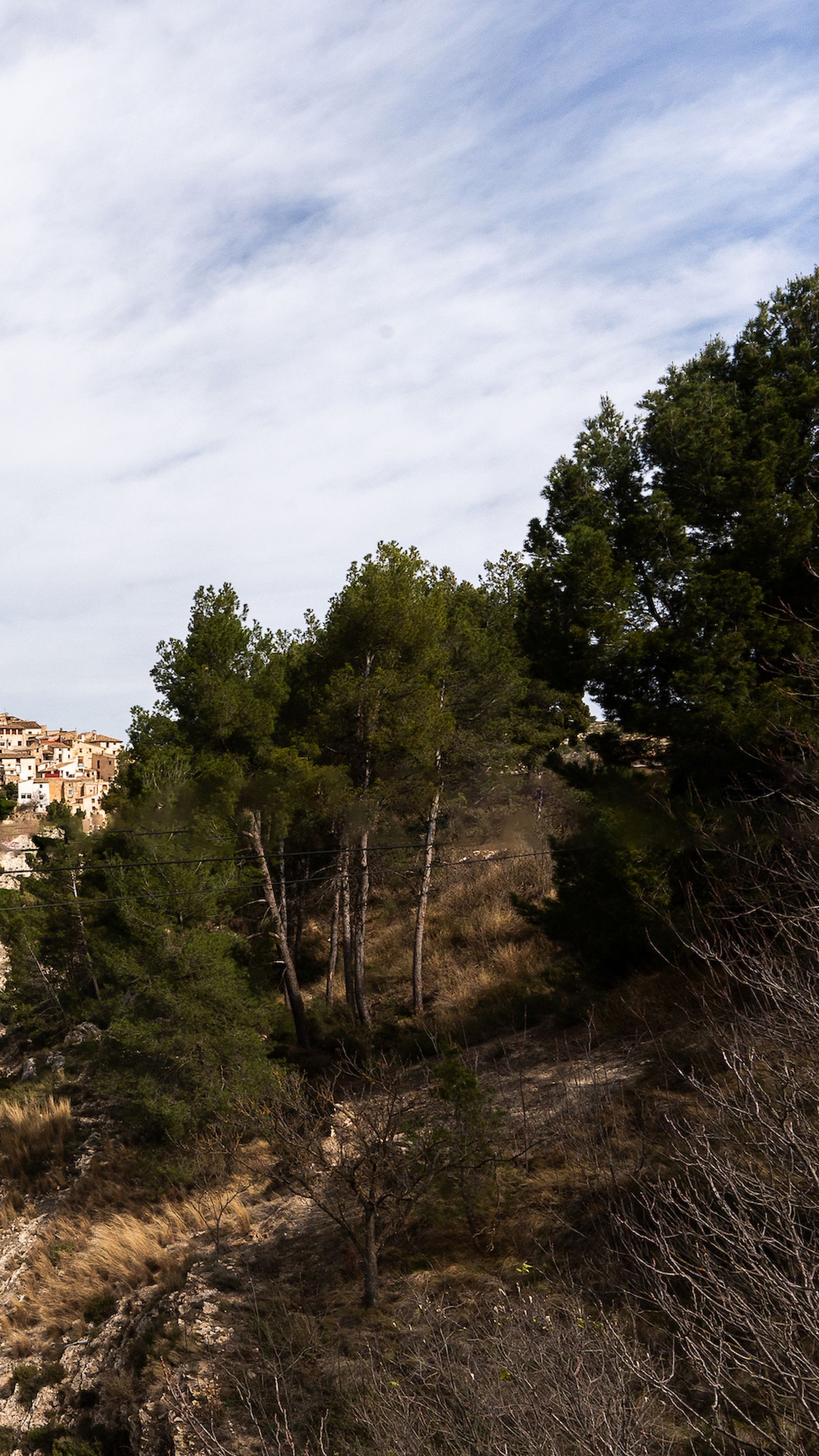 foto 5 megas 2600 px