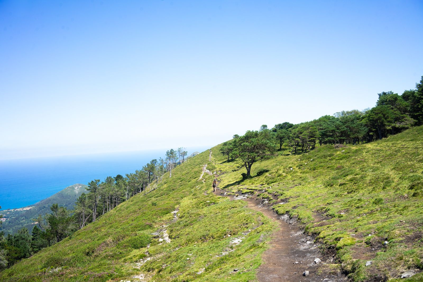 Galería móvil selección múltiple