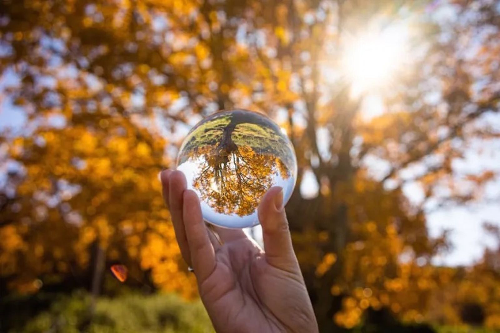 madrid sierra rincon lensball