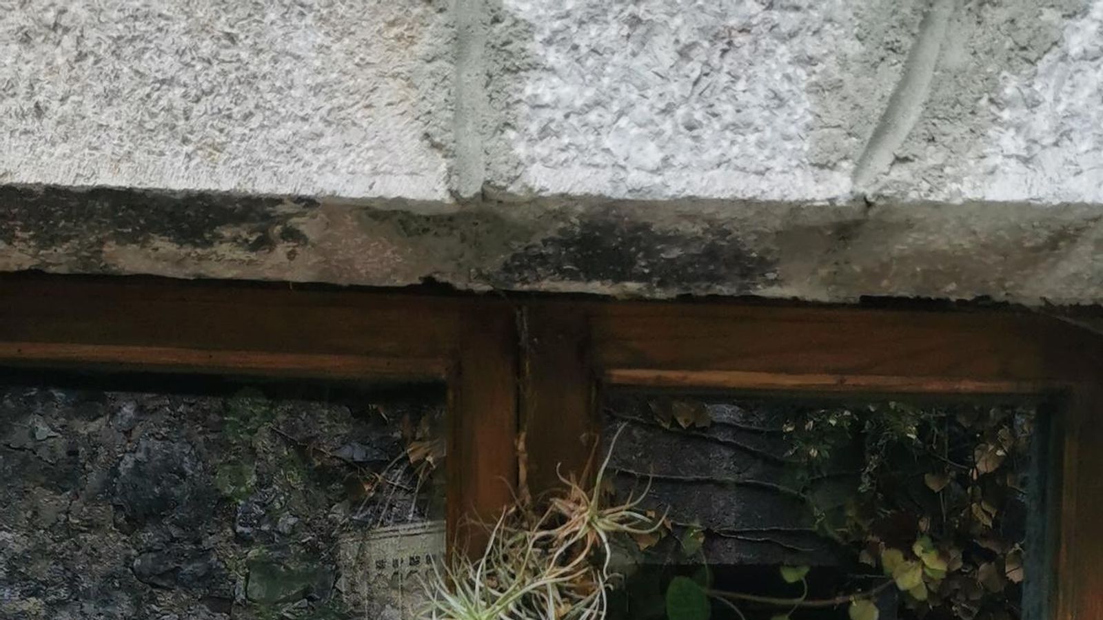 Test subida fotos móvil