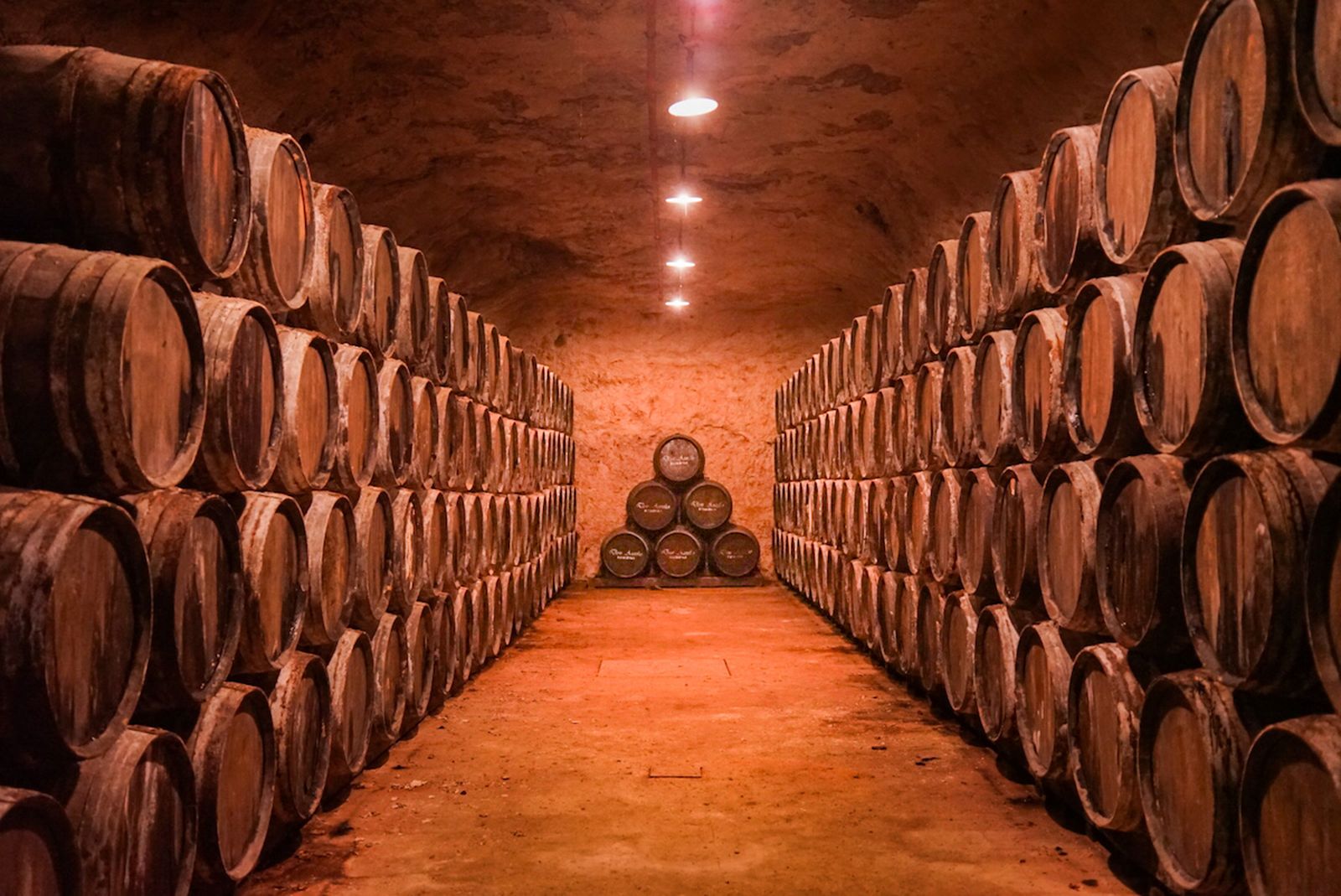 Photogallery from central newsroom