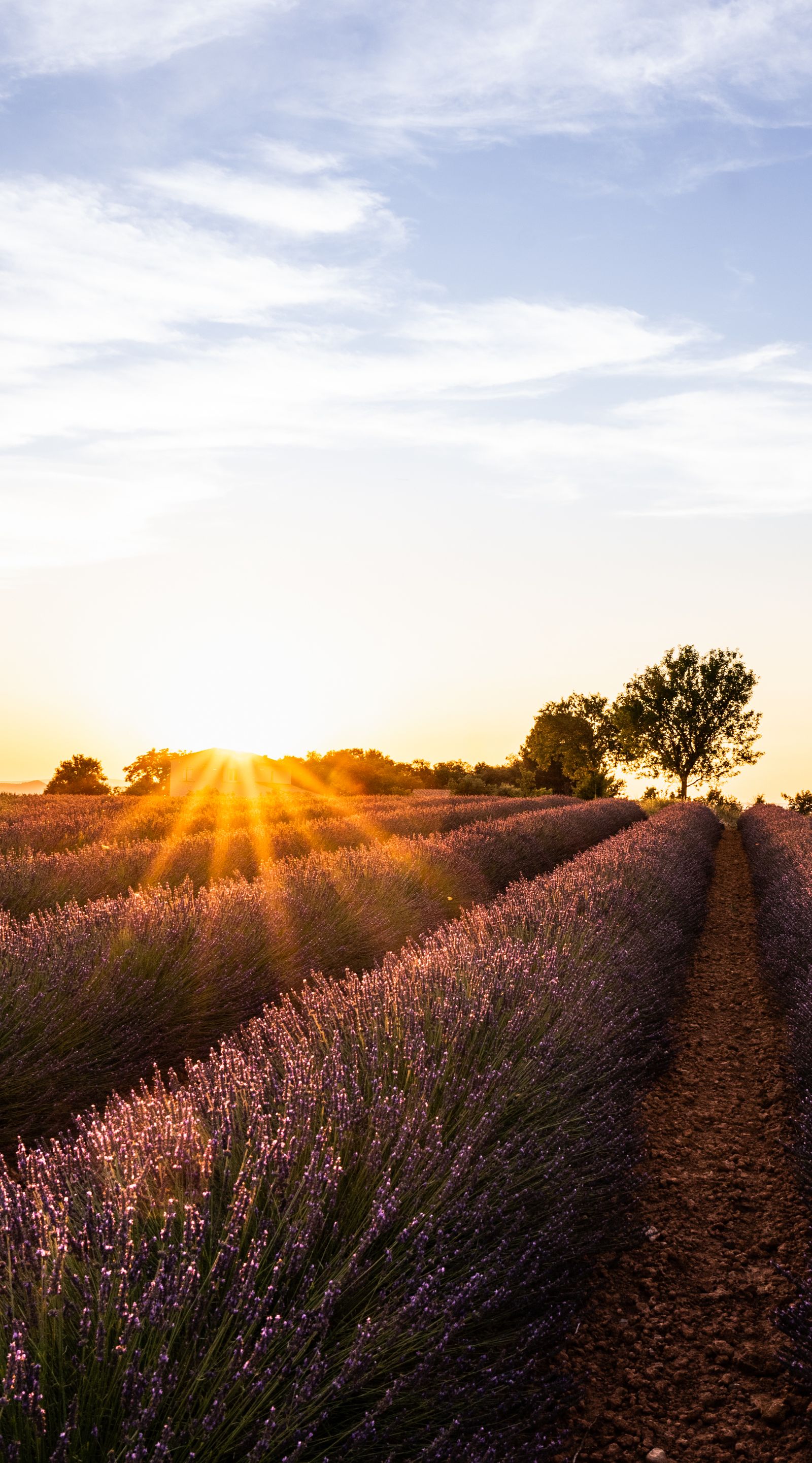 Cuaderno de Bitácora #10 : Viejos amigos y leyendas por conocer