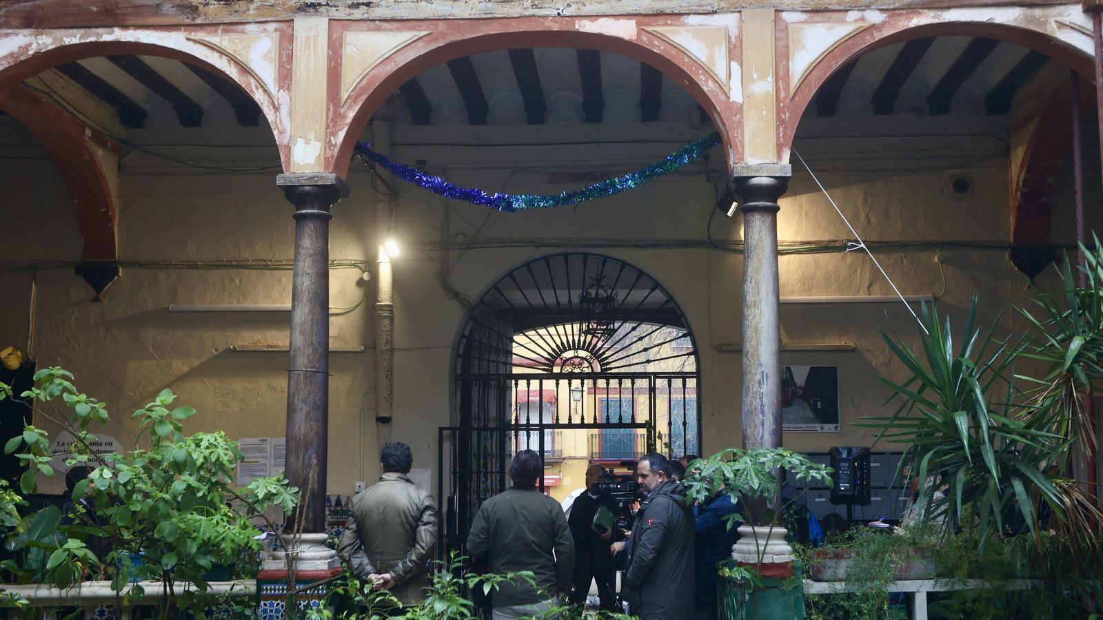 Test galería Joly bug