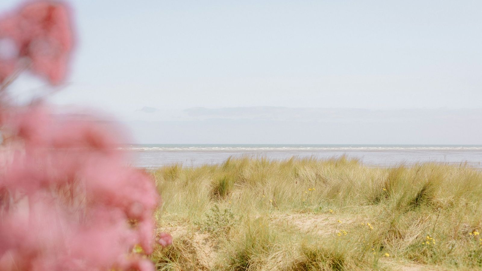 annie-spratt-6PKw0t-wm0M-unsplash