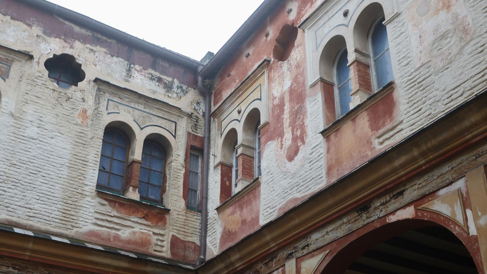 Galería safari simulador móvil 30 img