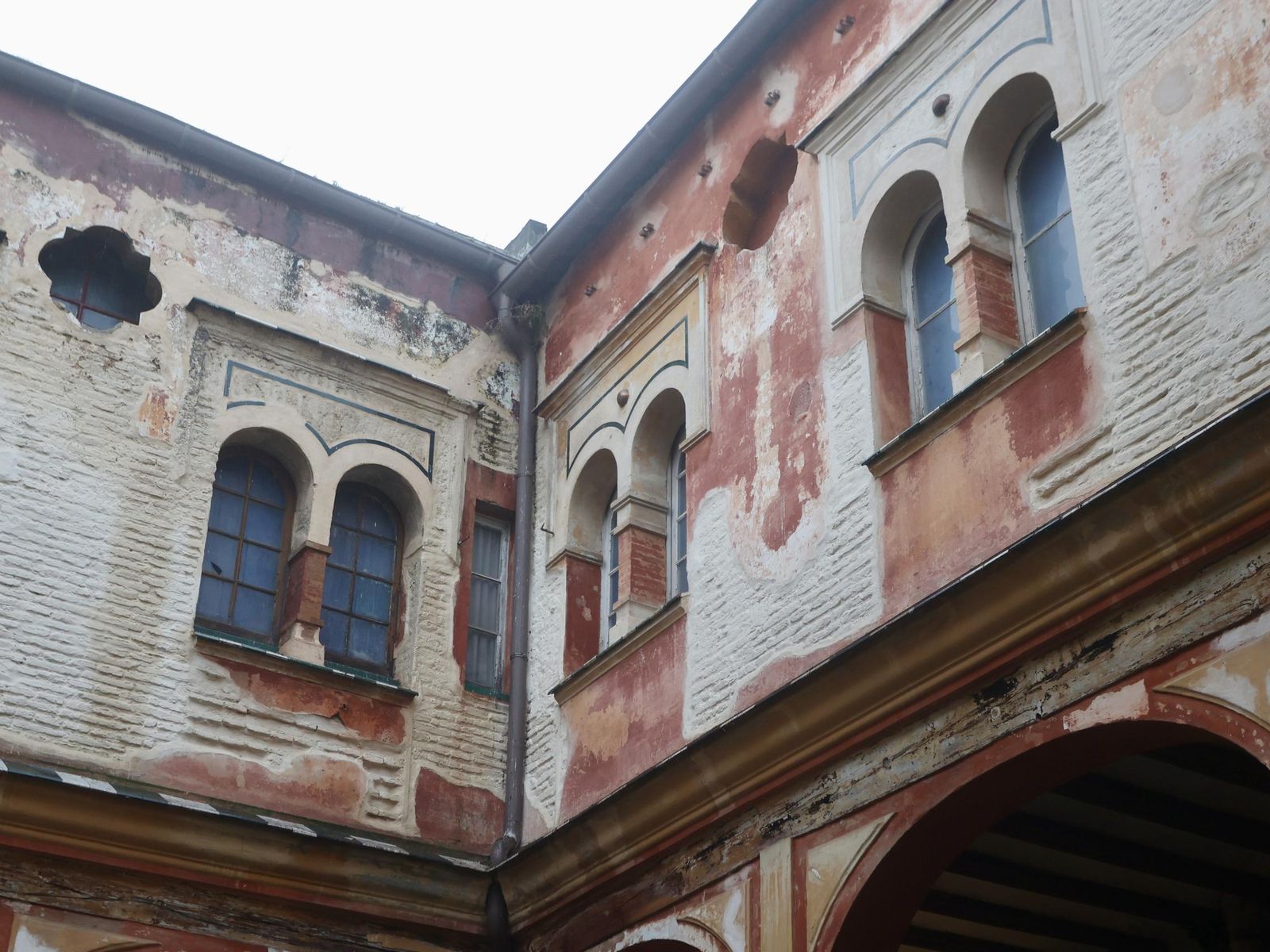 Galería safari simulador móvil 30 img