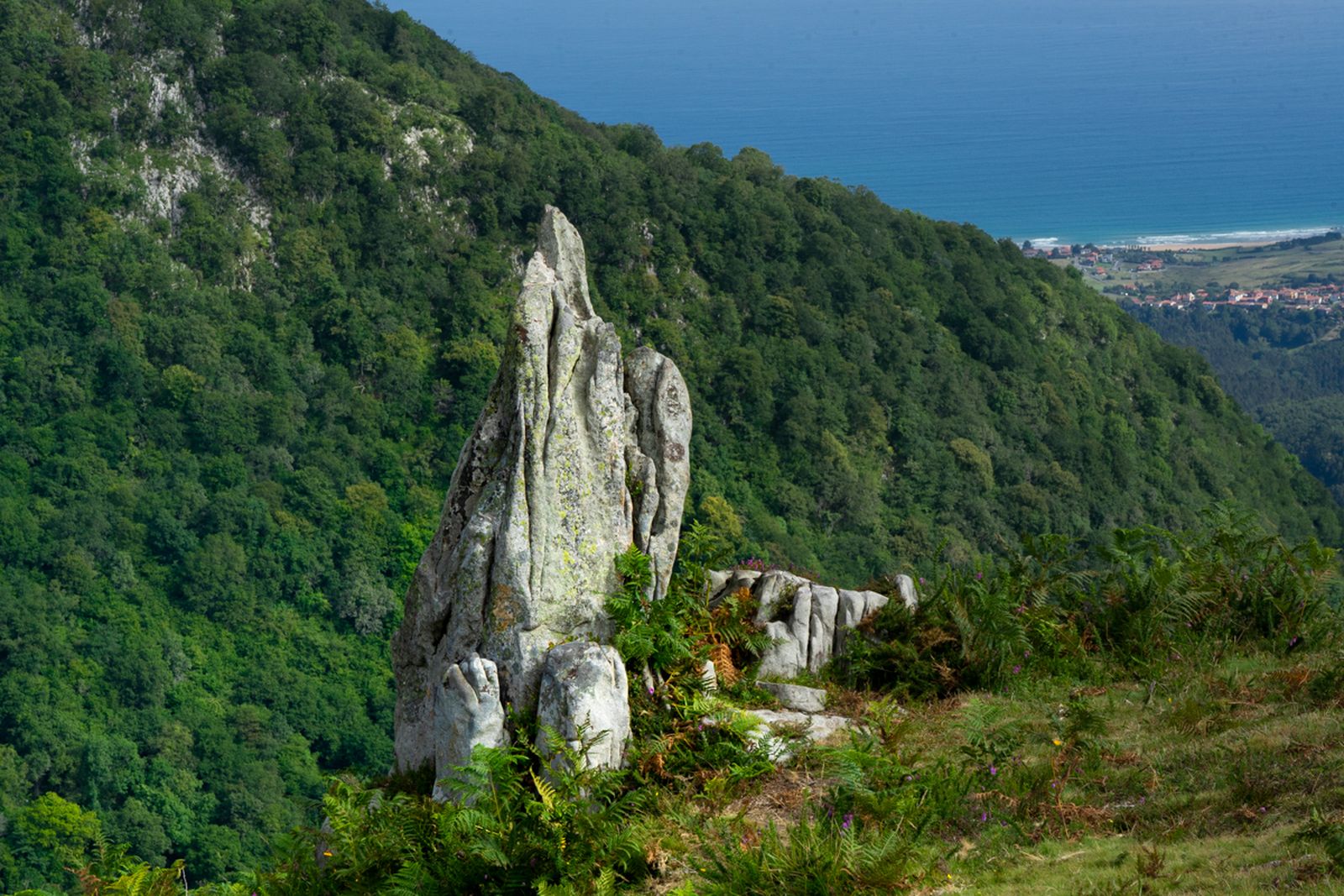 Galería móvil selección múltiple