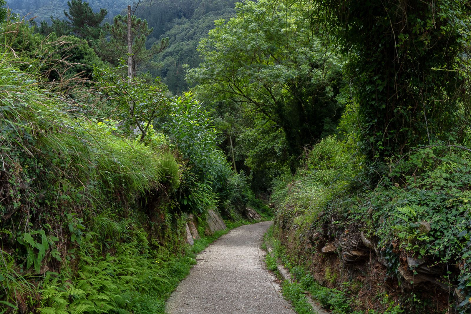 Galería móvil selección múltiple