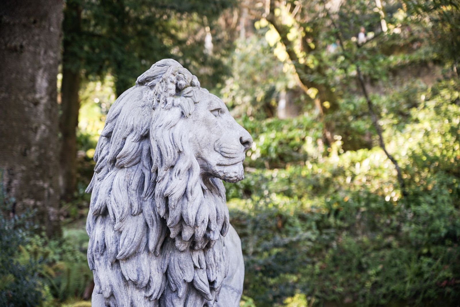 Galería móvil selección múltiple