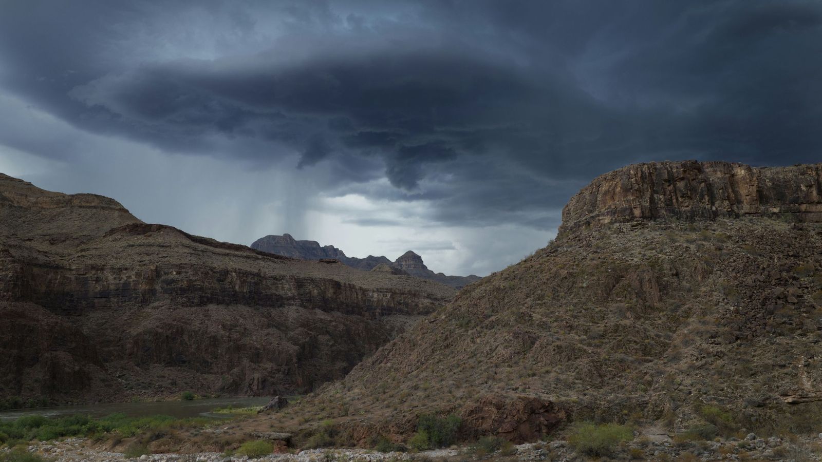 steve-gribble-ZDw4bMLSUXA-unsplash