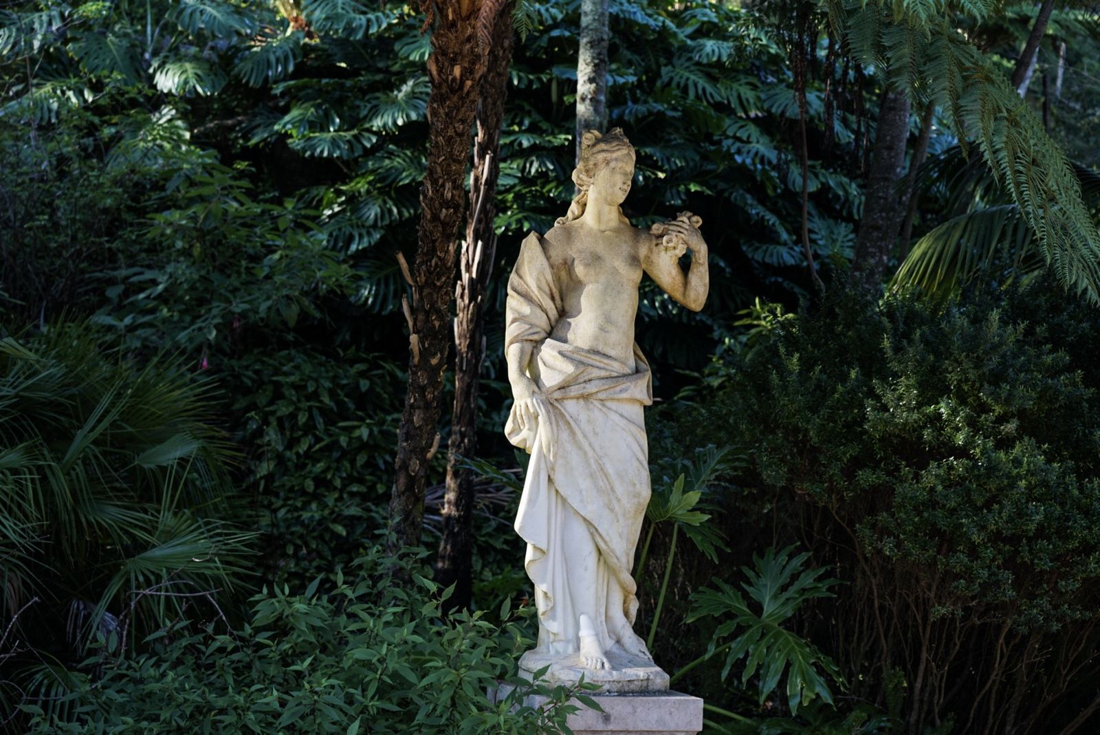 Galería móvil selección múltiple