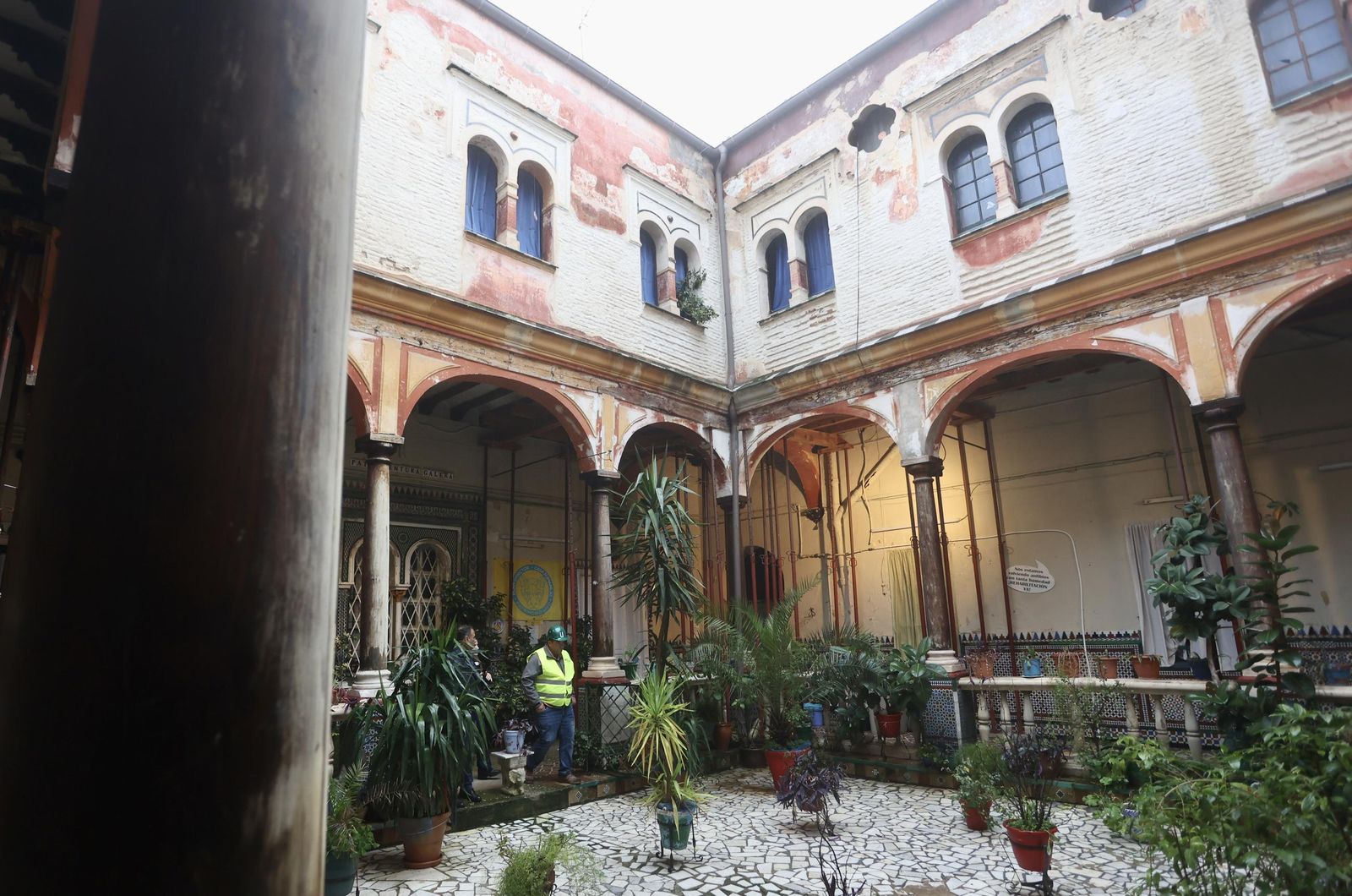 Test galería Joly bug