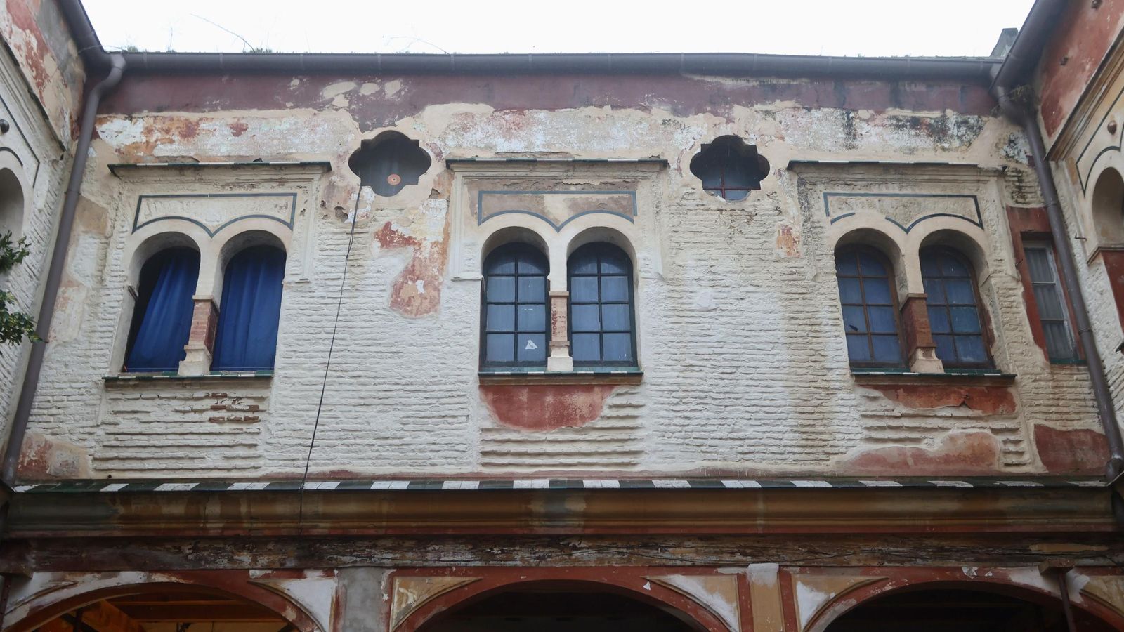 Galería safari simulador móvil 30 img