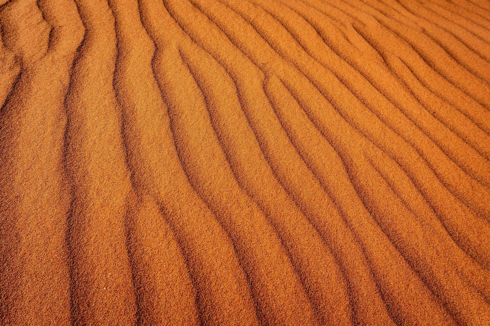 ben-carless-k_lajXwxVII-unsplash