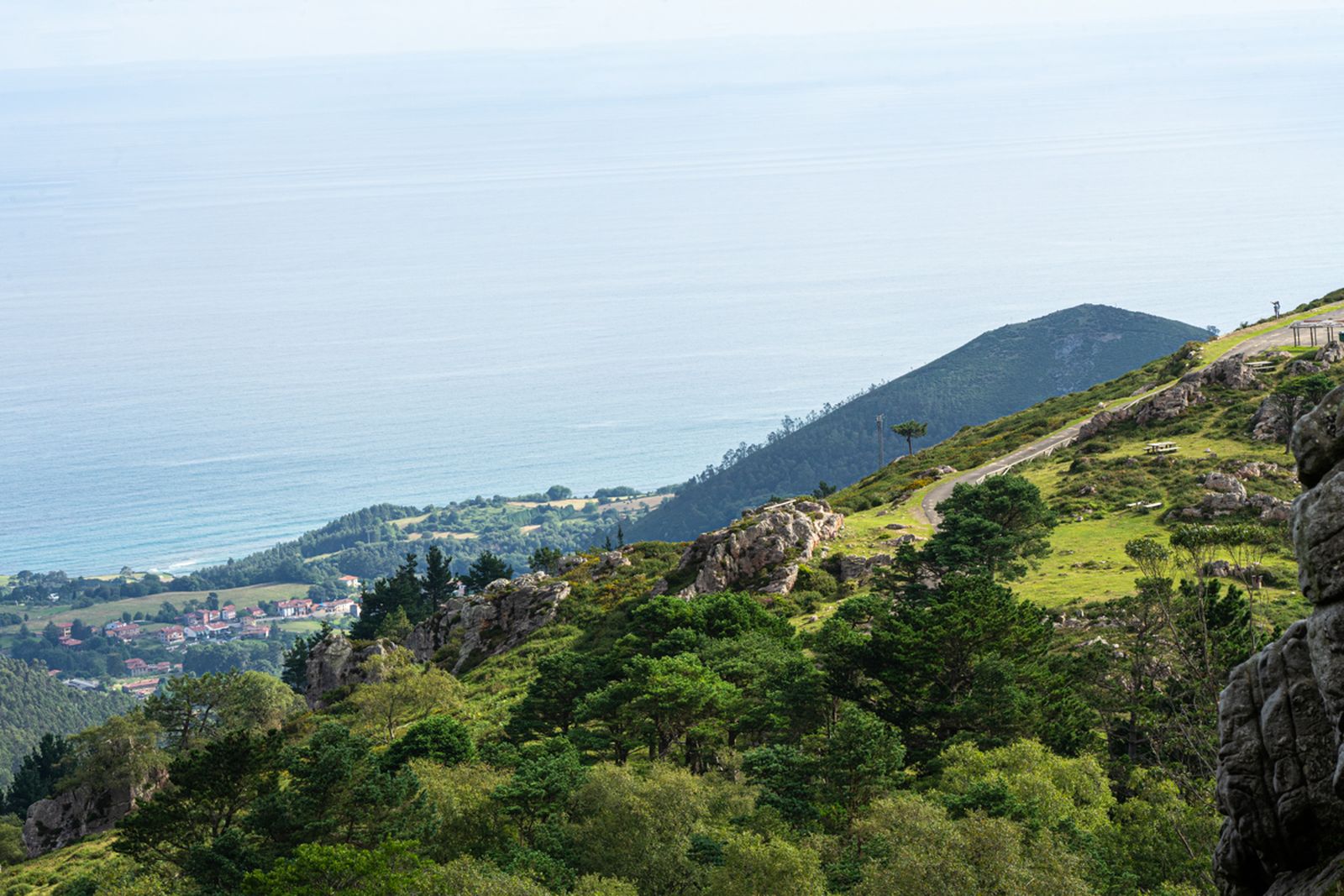 Galería móvil selección múltiple