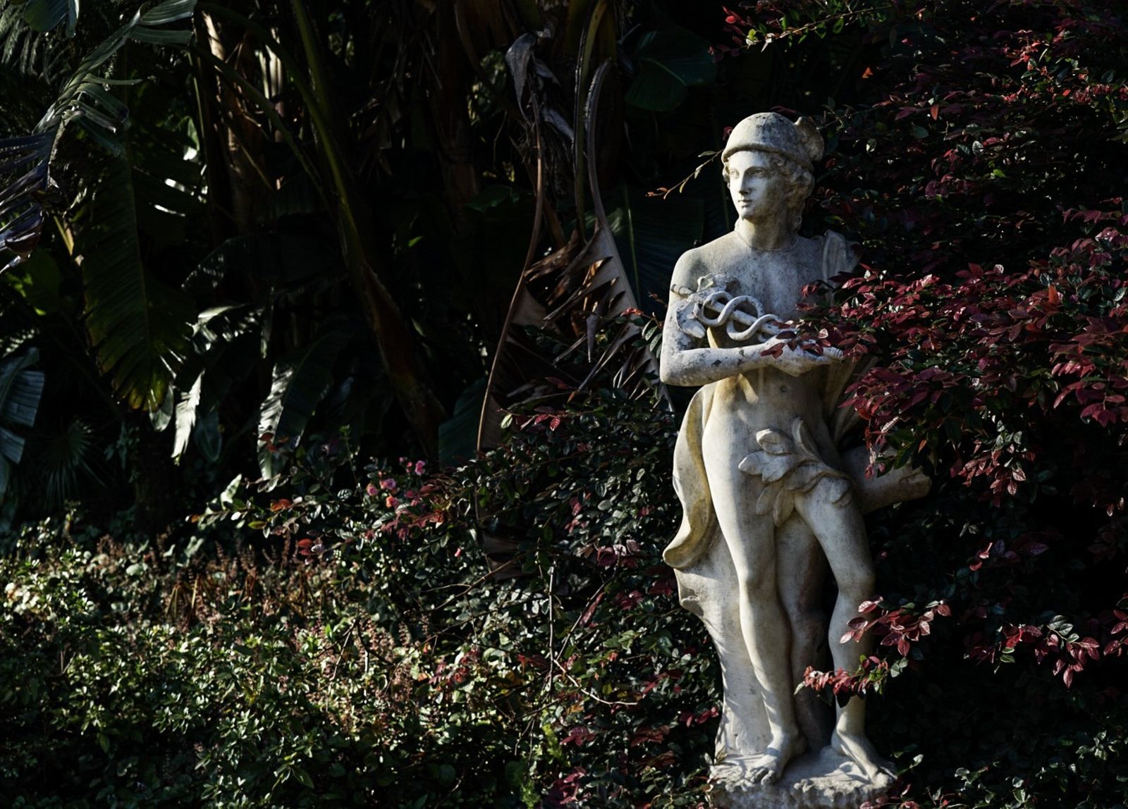 Galería móvil selección múltiple