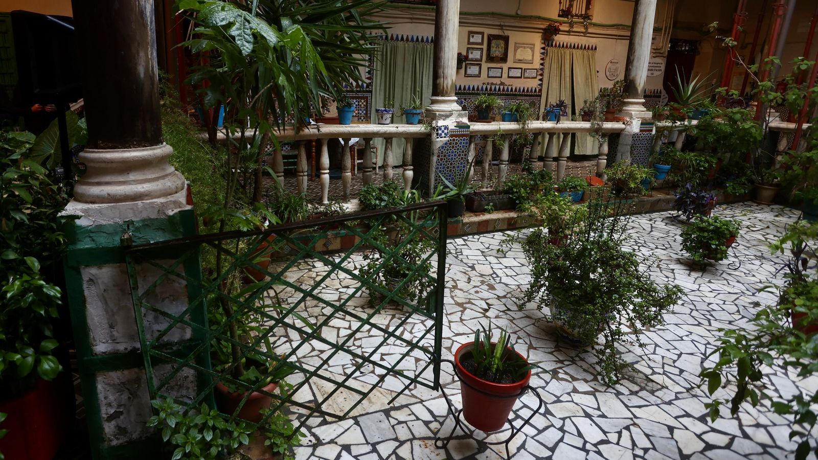 Test galería Joly bug