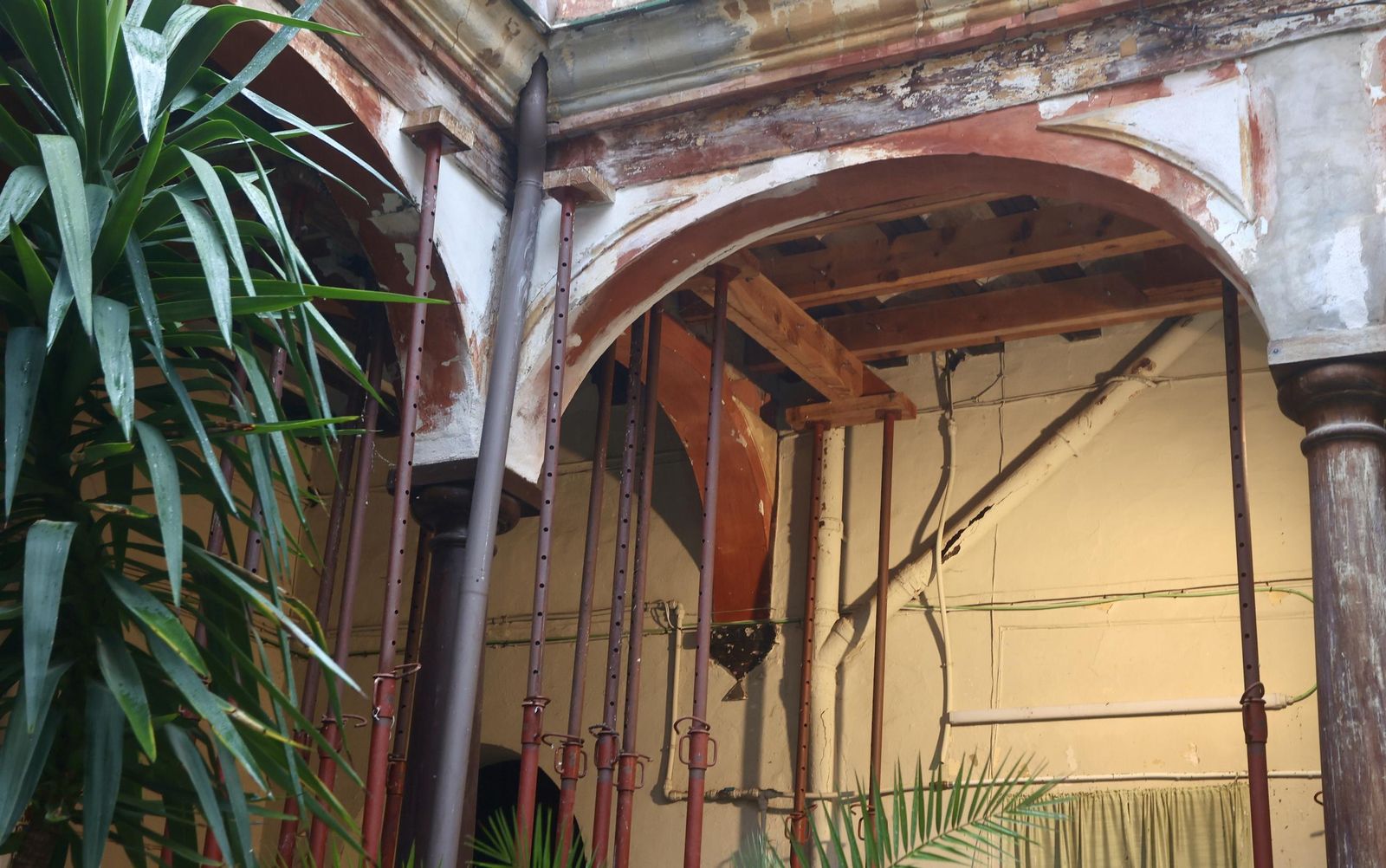 Test galería Joly bug