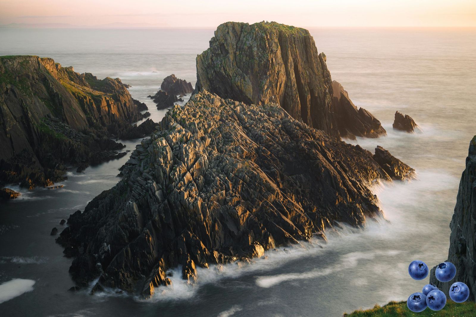 benjamin-hibbert-hingston-4IH2rRlCnKs-unsplash