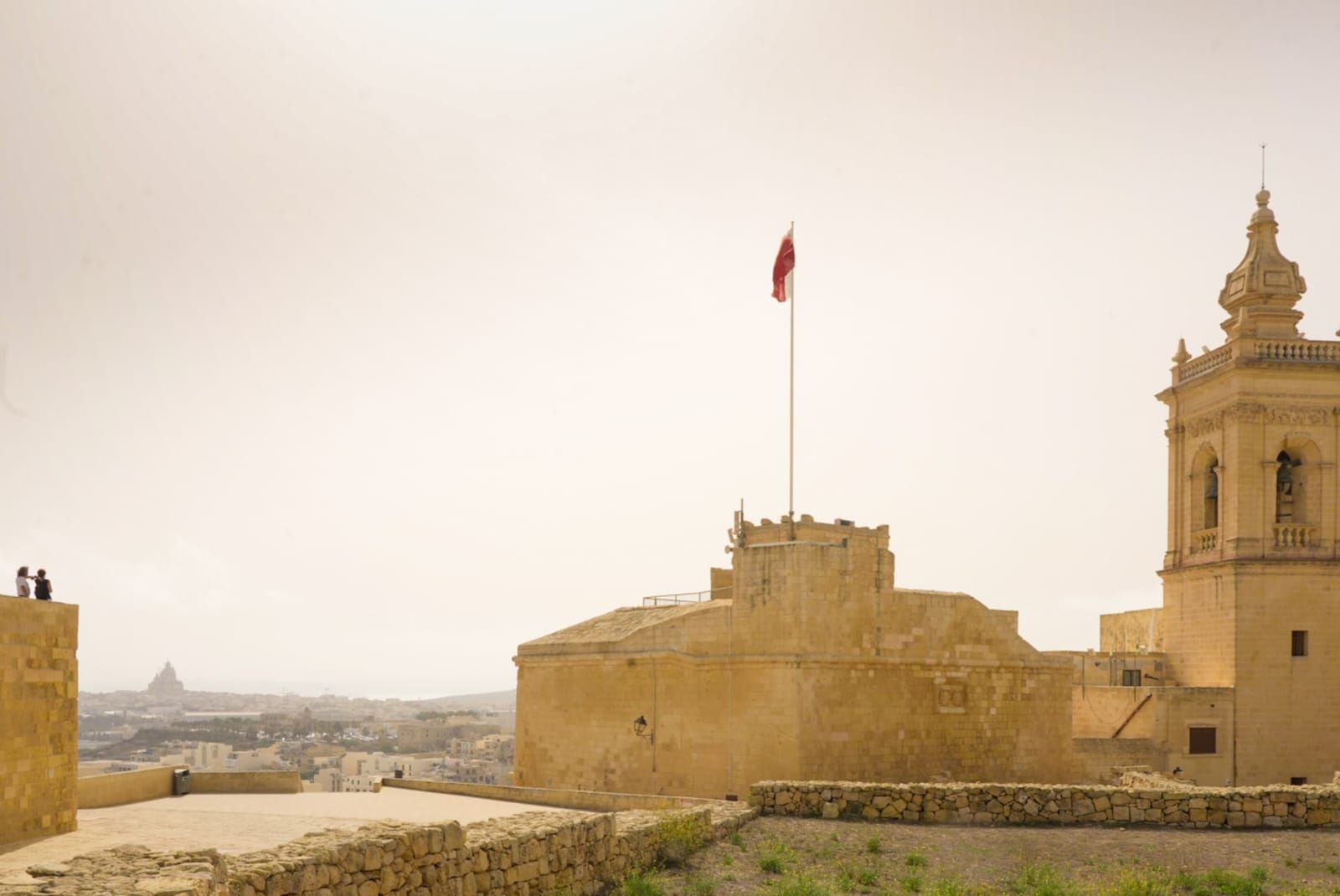 Galería móvil selección múltiple