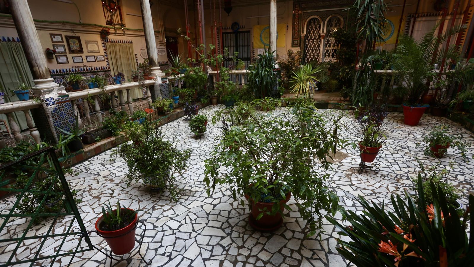 Test galería Joly bug