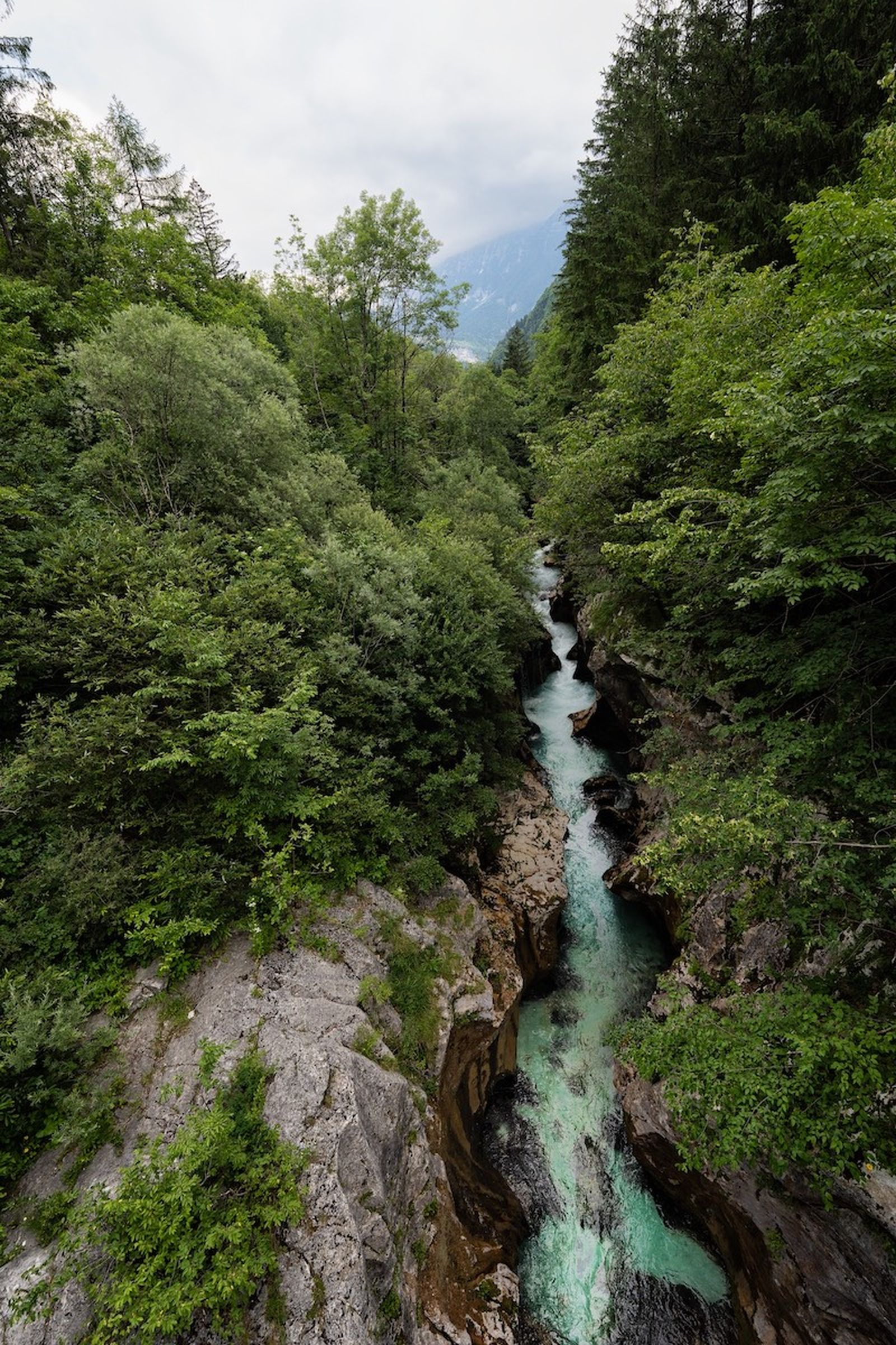 Fotogalería RC a sección sin autopublicar en Eru