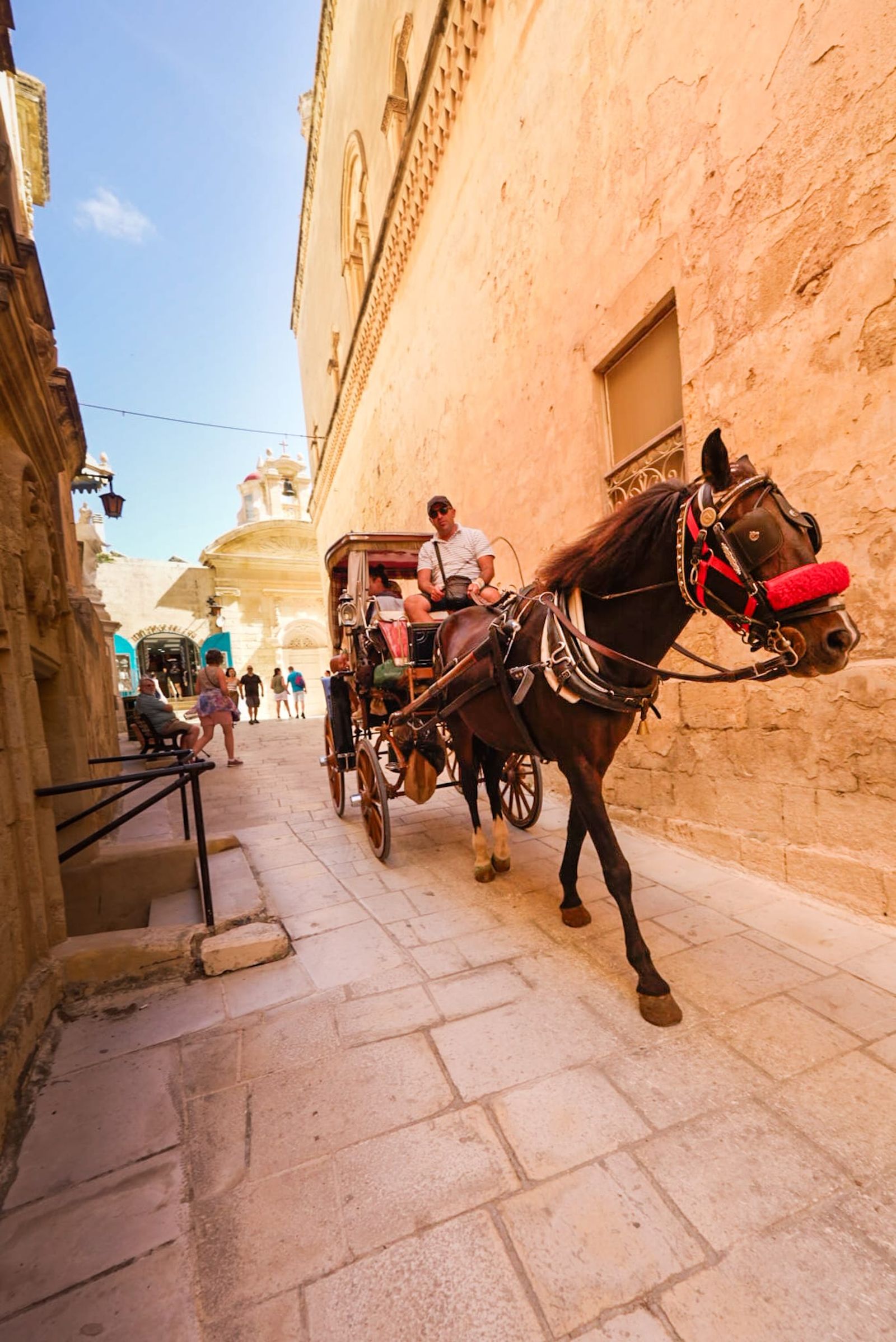 Galería móvil selección múltiple