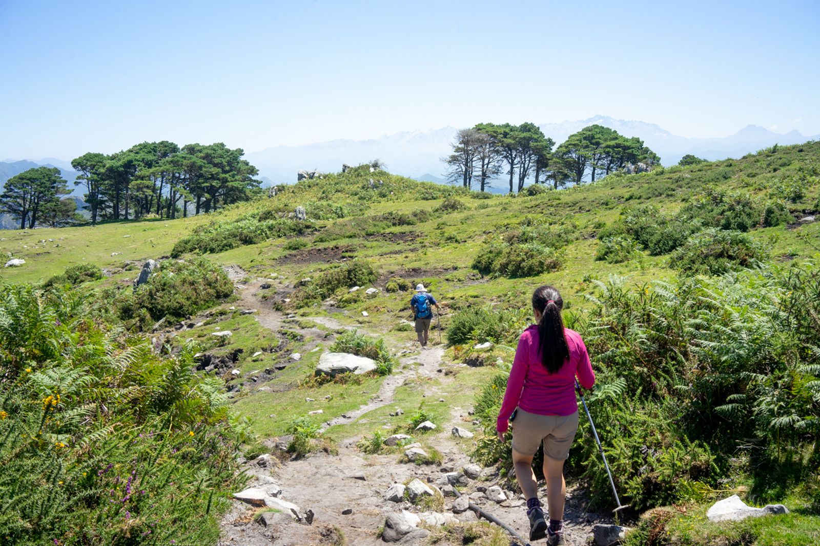 Galería móvil selección múltiple