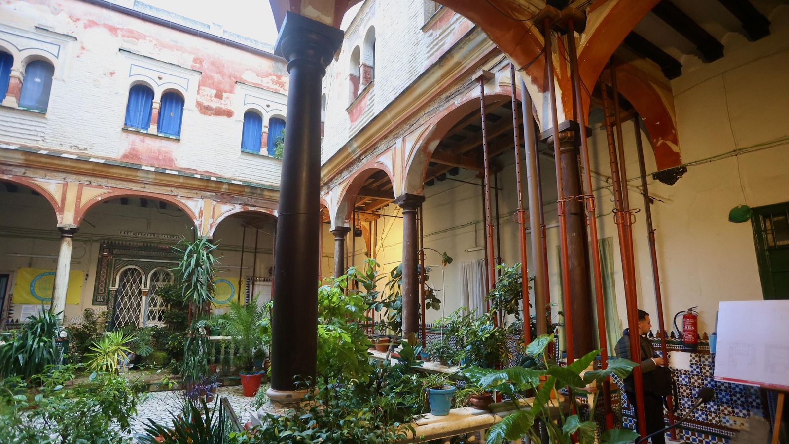 Galería safari simulador móvil 30 img