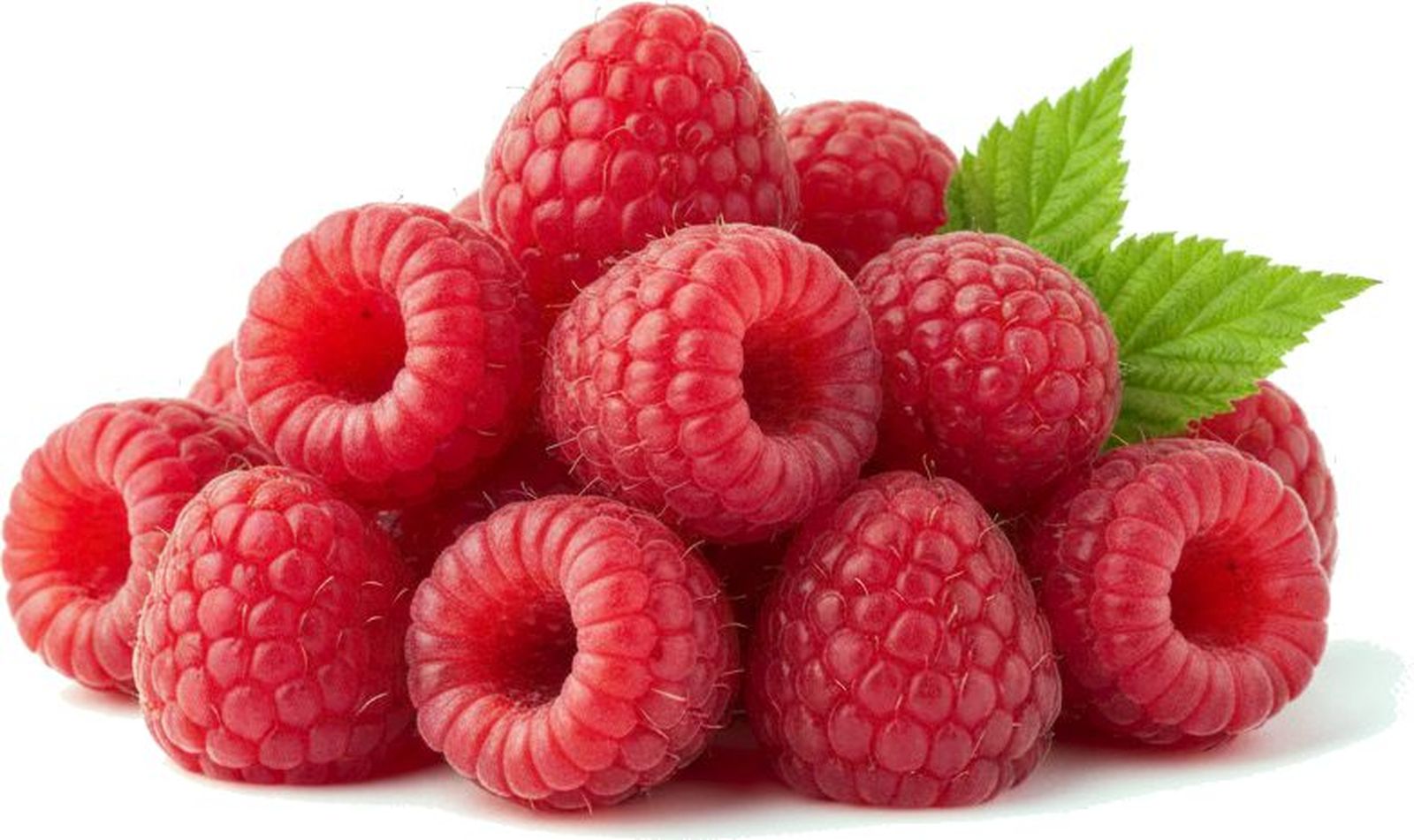 png fondo transparente 782,465