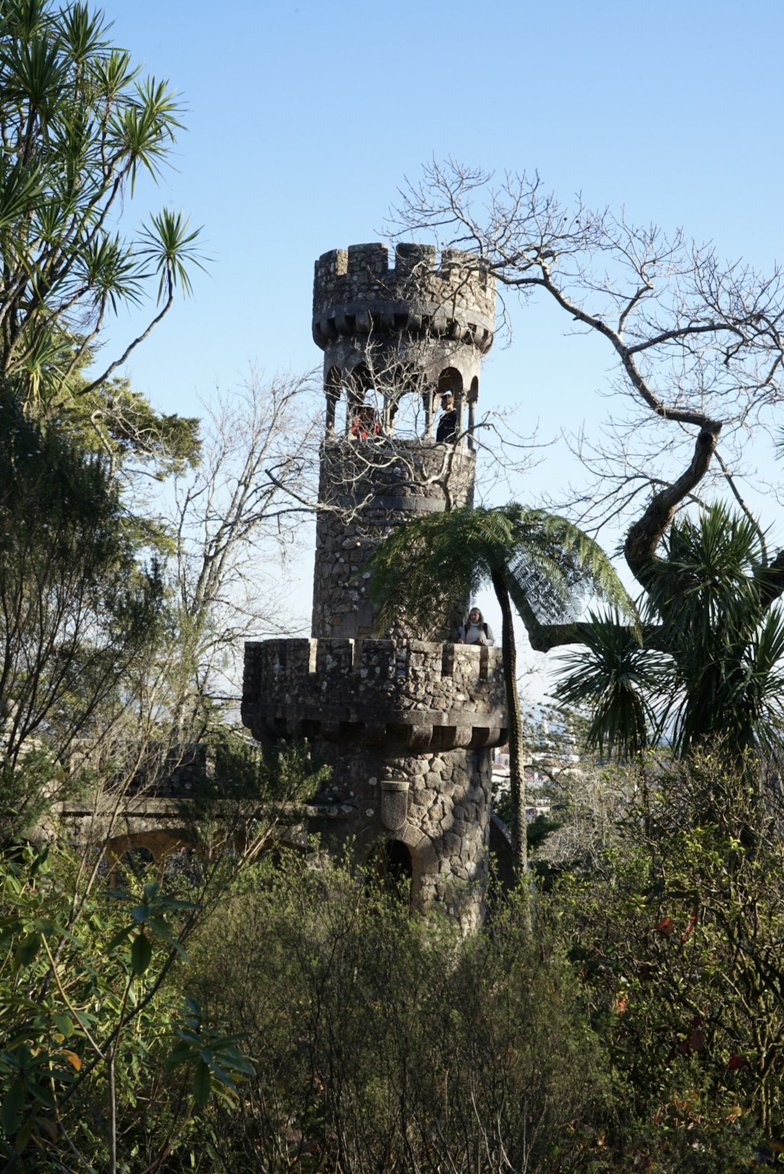 Galería móvil selección múltiple