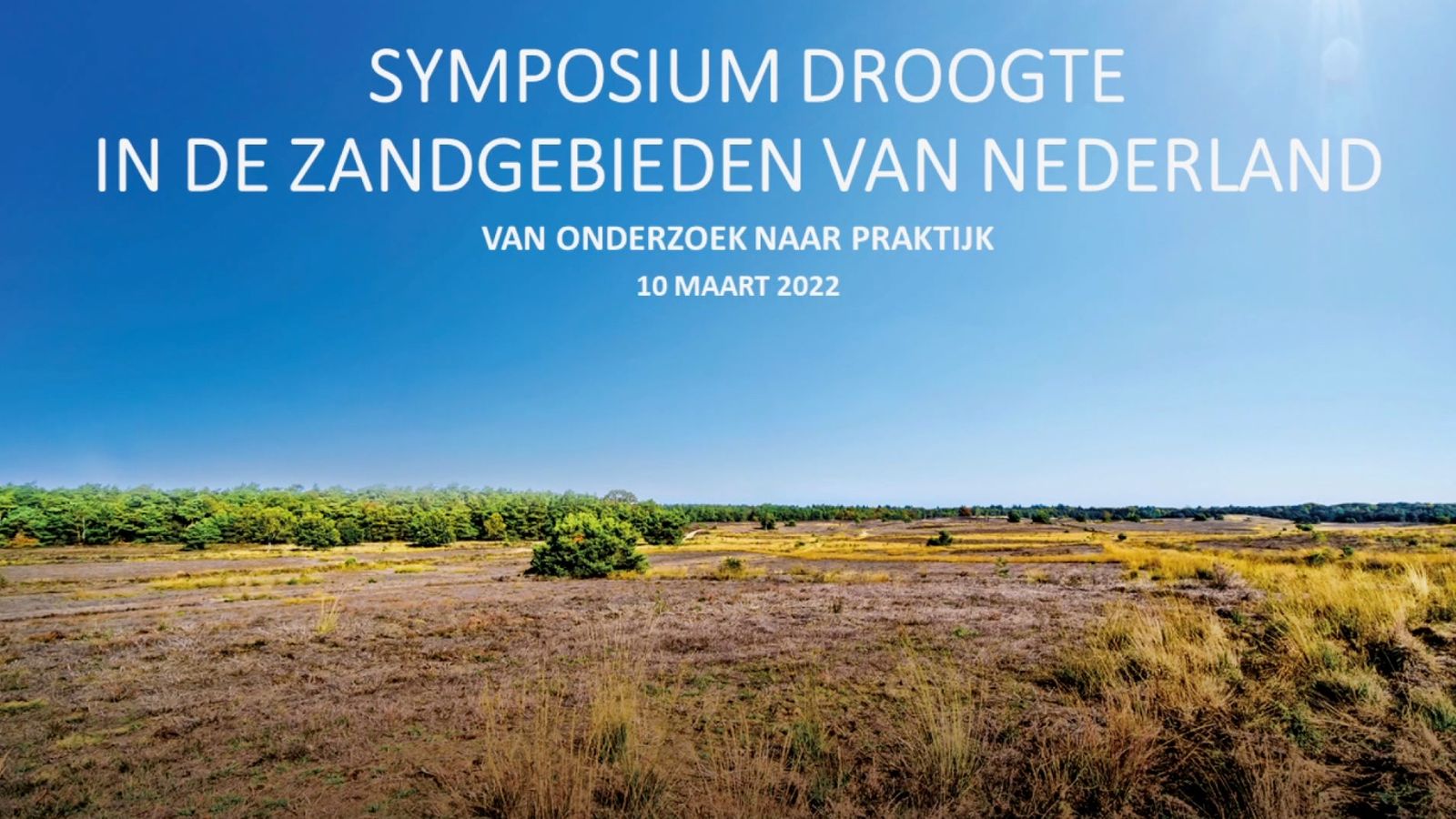 poster video embed vimeo live