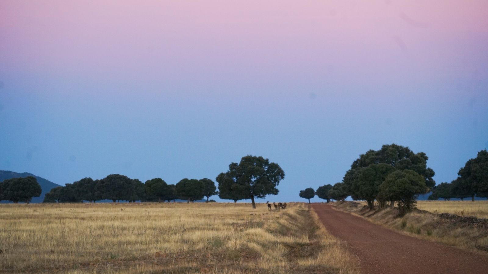 El Parque Nacional de Cabañeros en Castilla La Mancha