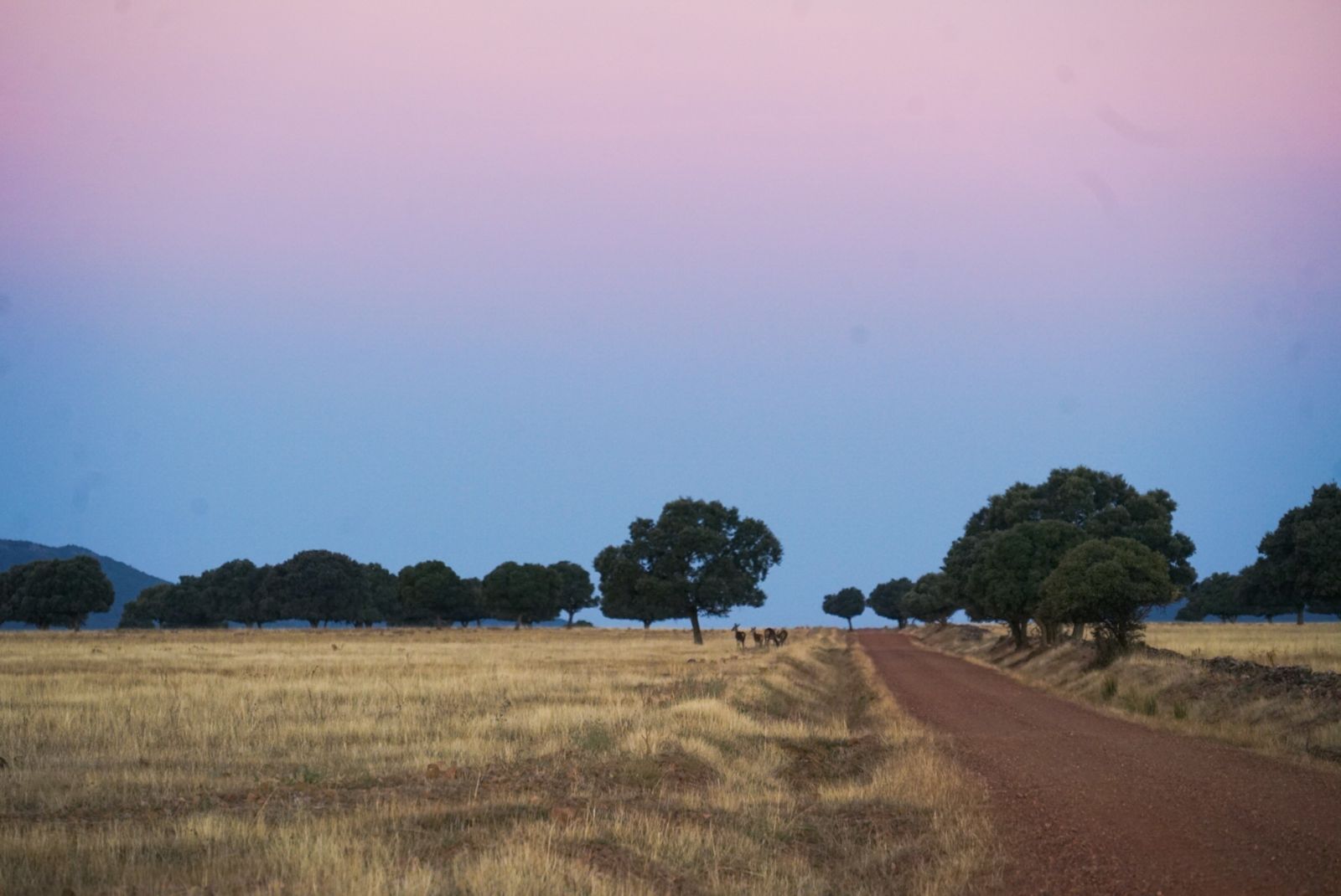 El Parque Nacional de Cabañeros en Castilla La Mancha