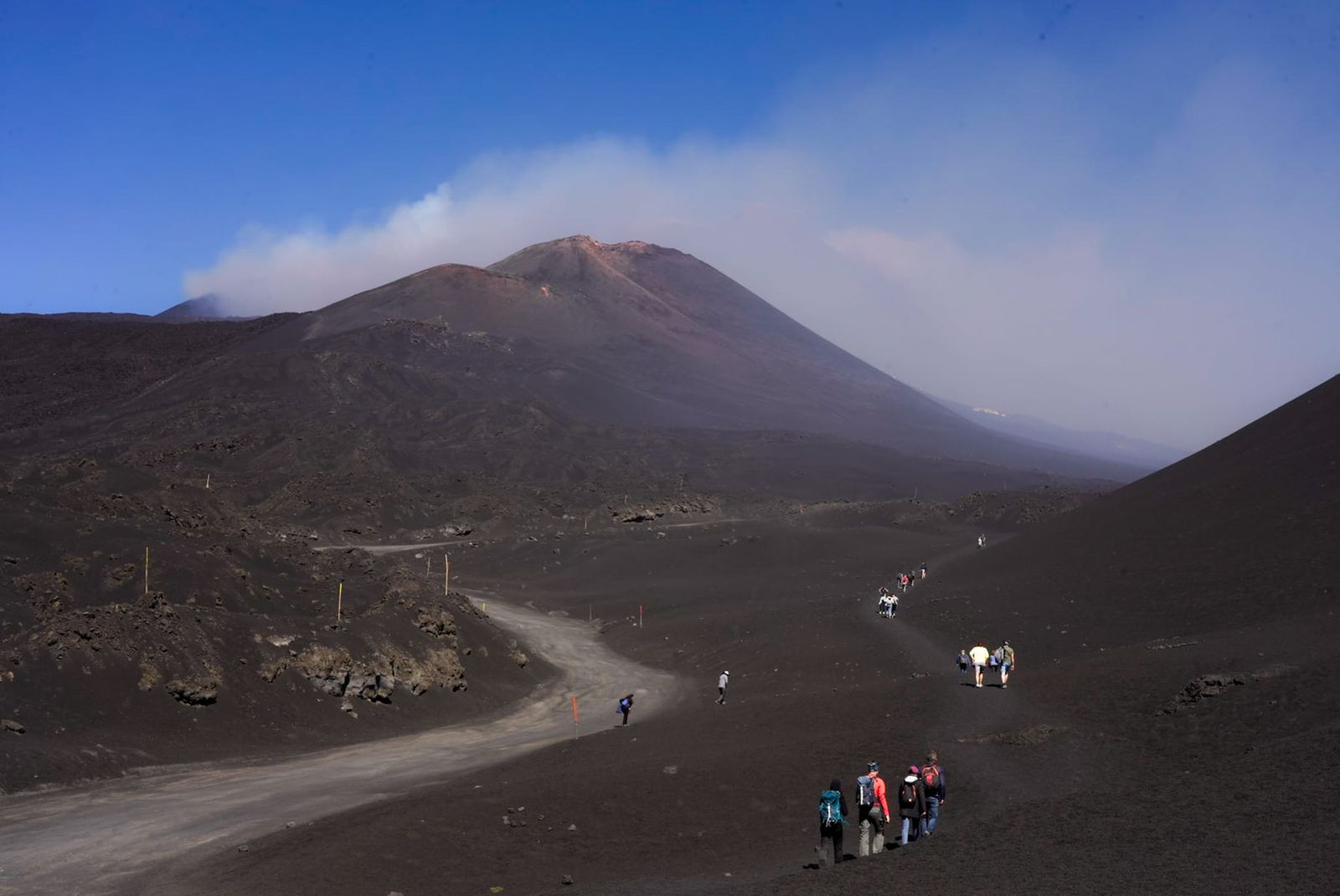Galería móvil selección múltiple