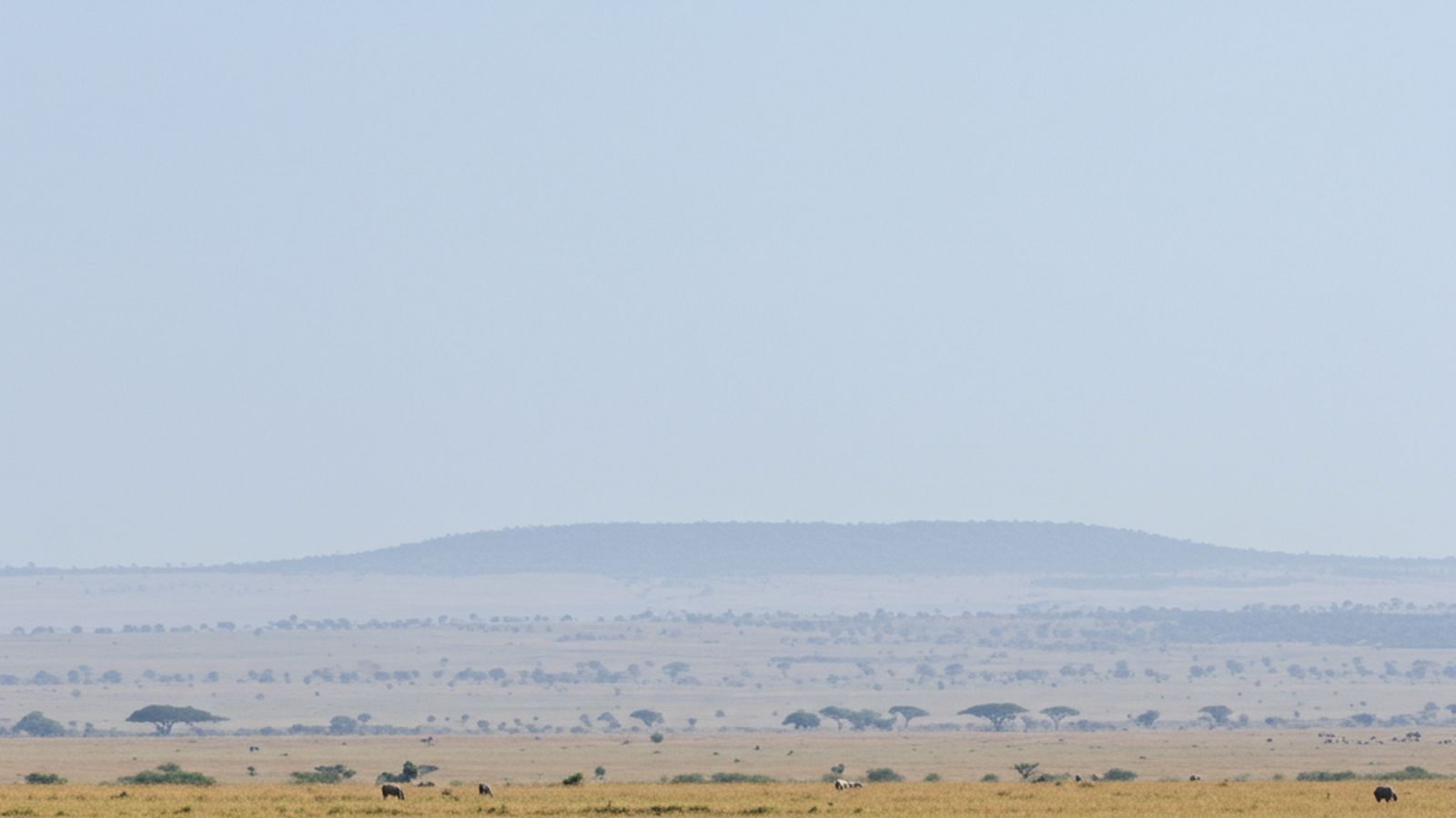 Imagen rinocerontes generada por IA