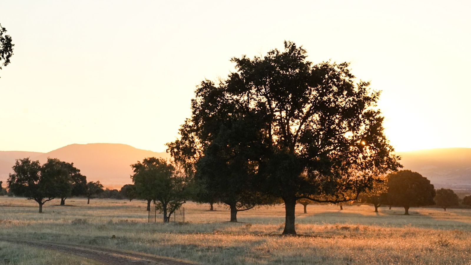 El Parque Nacional de Cabañeros en Castilla La Mancha